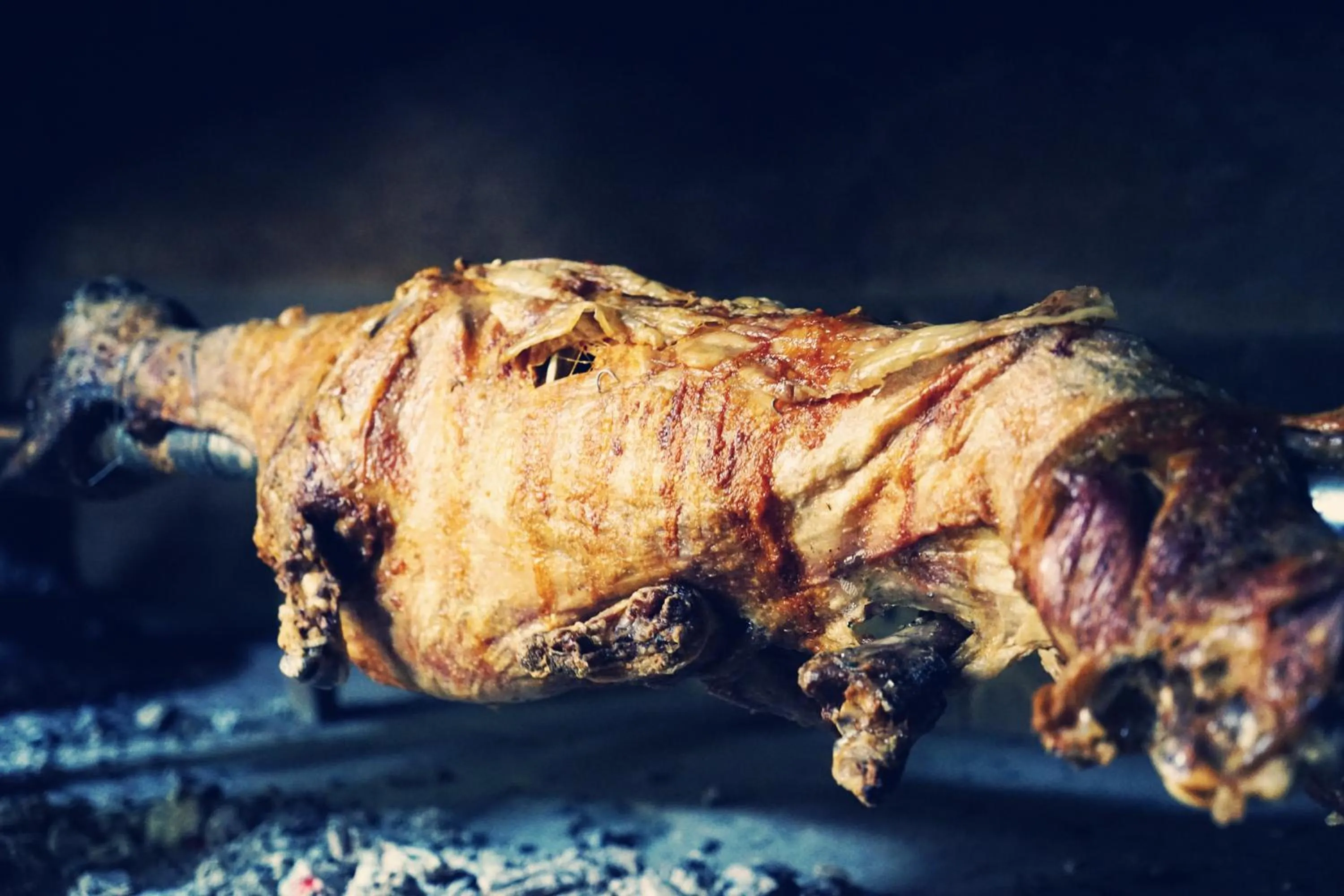 Restaurant/places to eat in Hotel Hercegovina