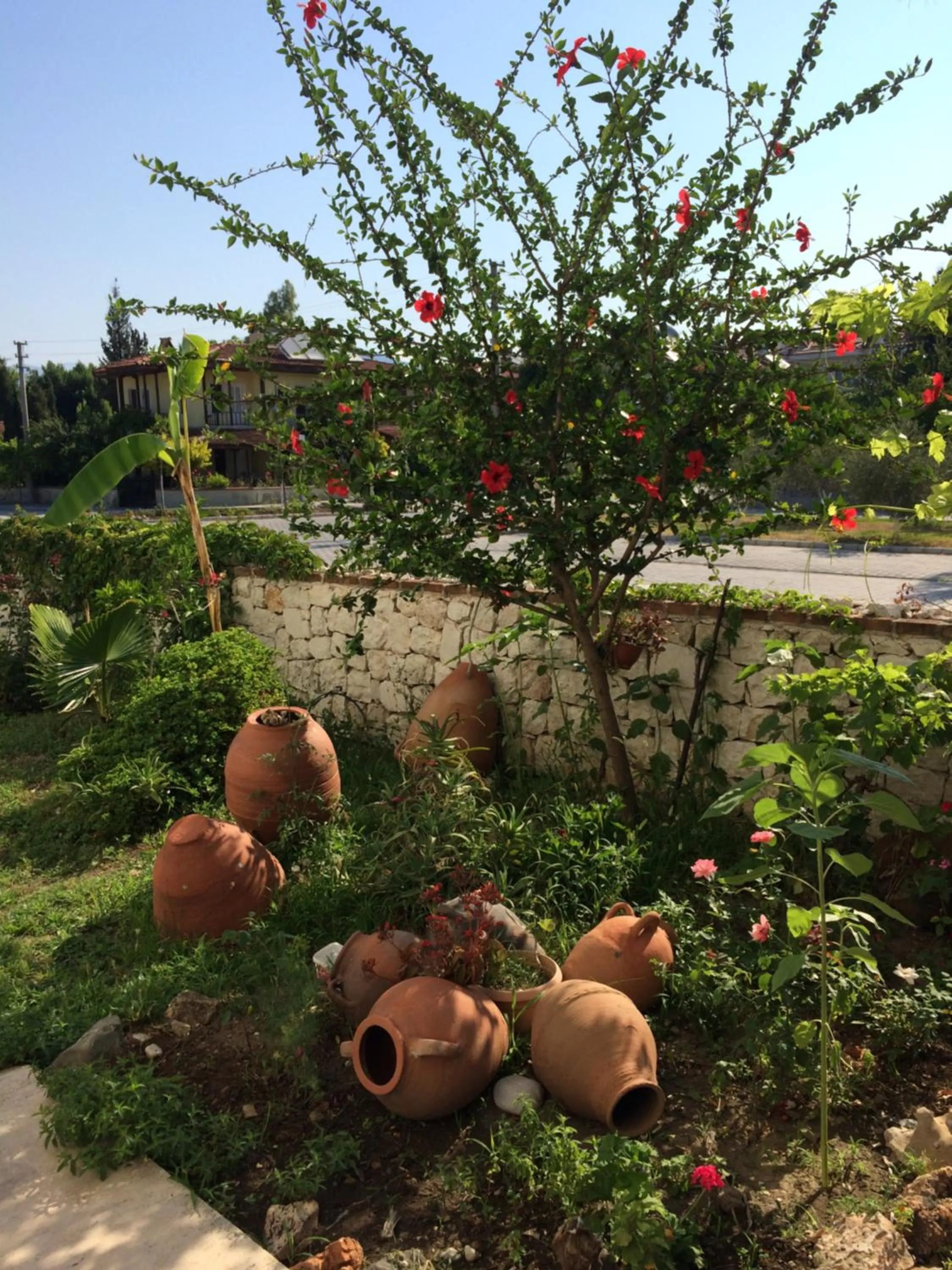 Summer in Kilim Hotel & Apart