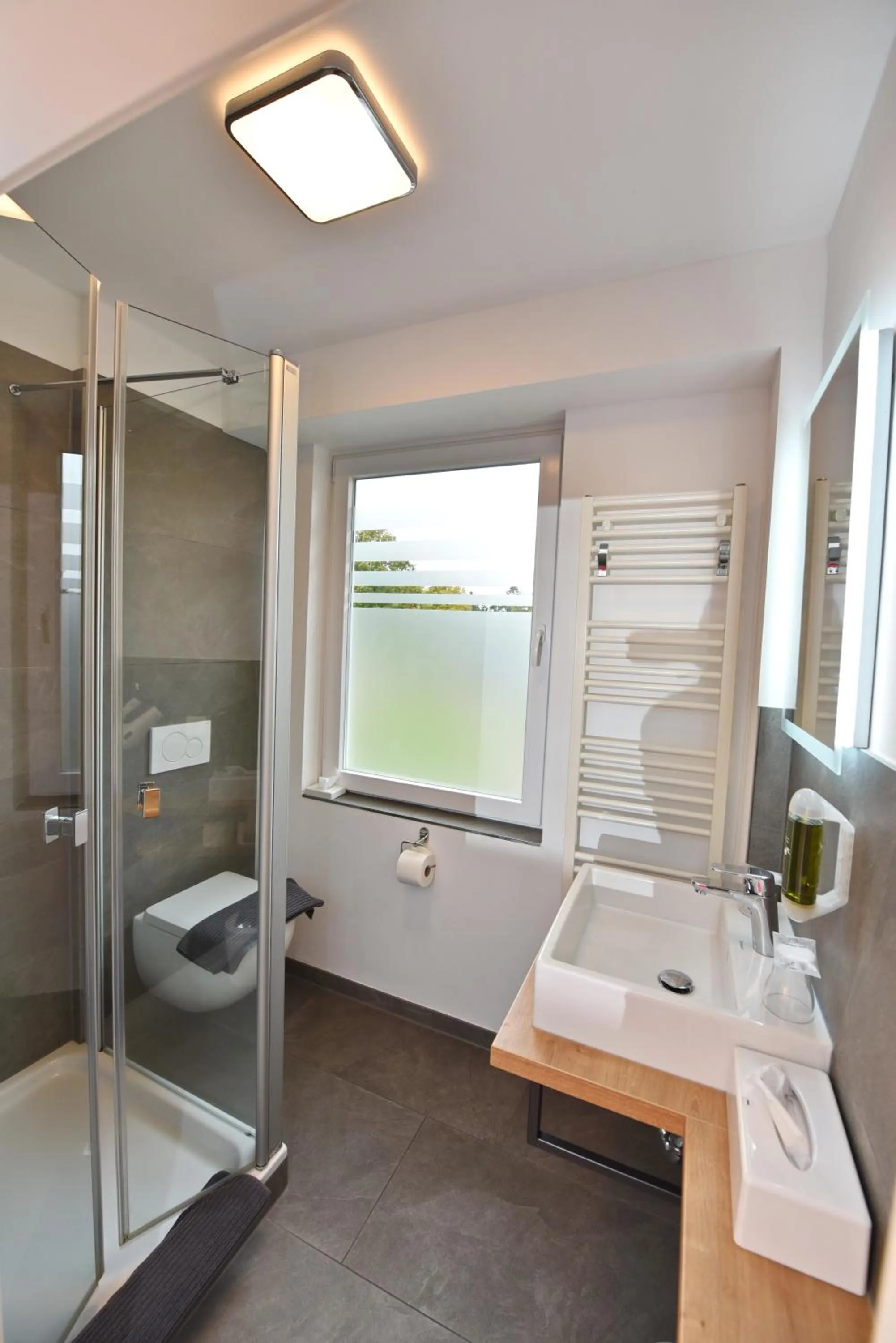 Shower in Hotel Wappenhof