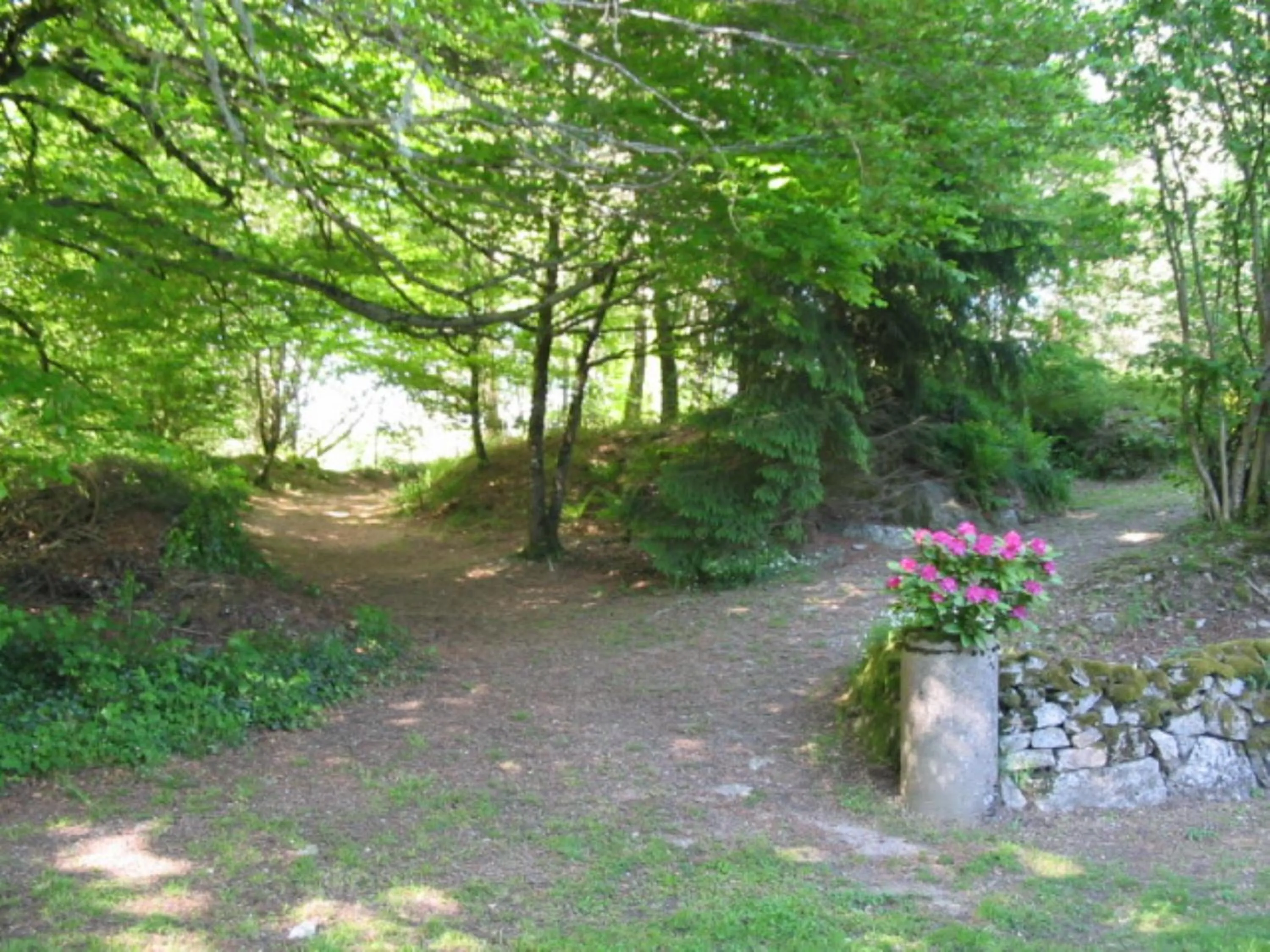 Garden in Chambres d'Hôtes Le Pont