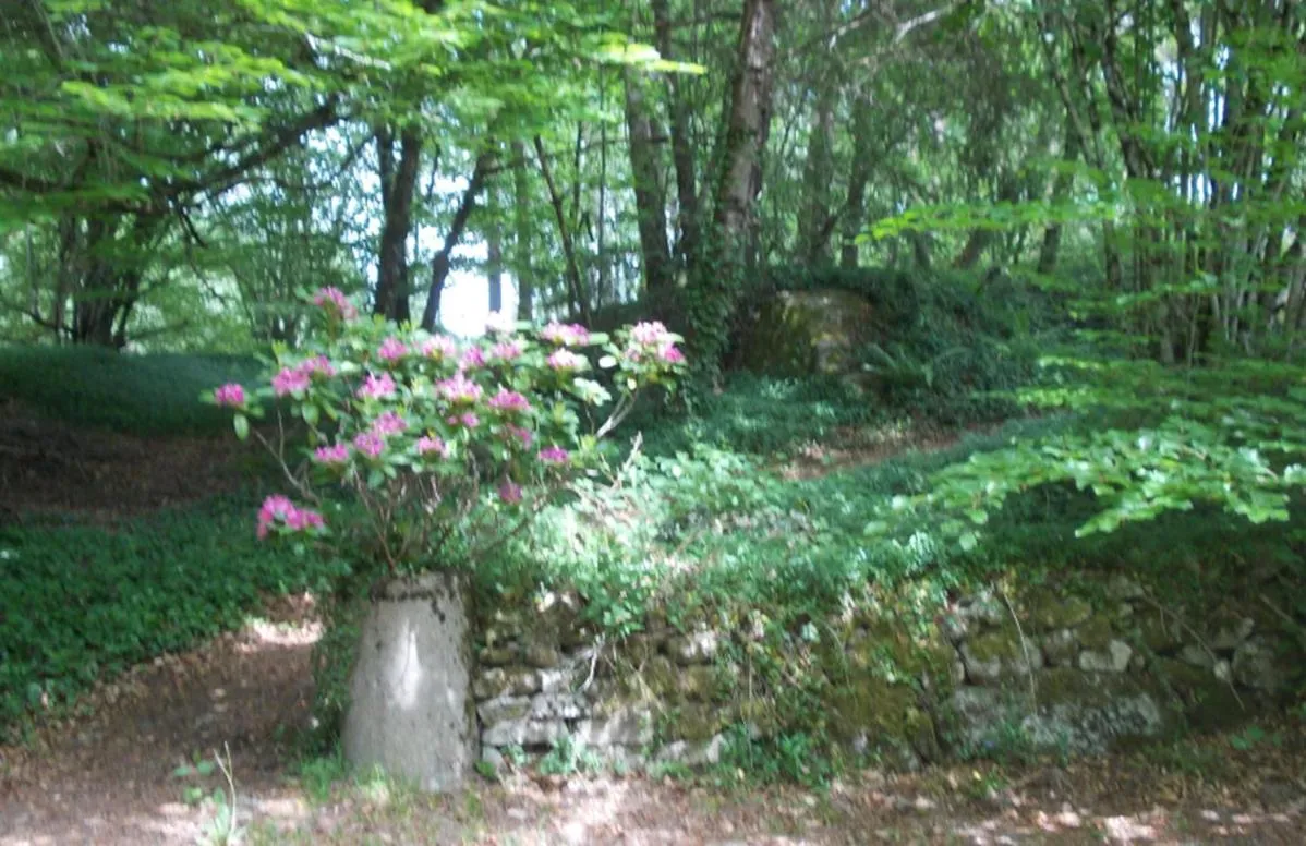 Garden in Chambres d'Hôtes Le Pont