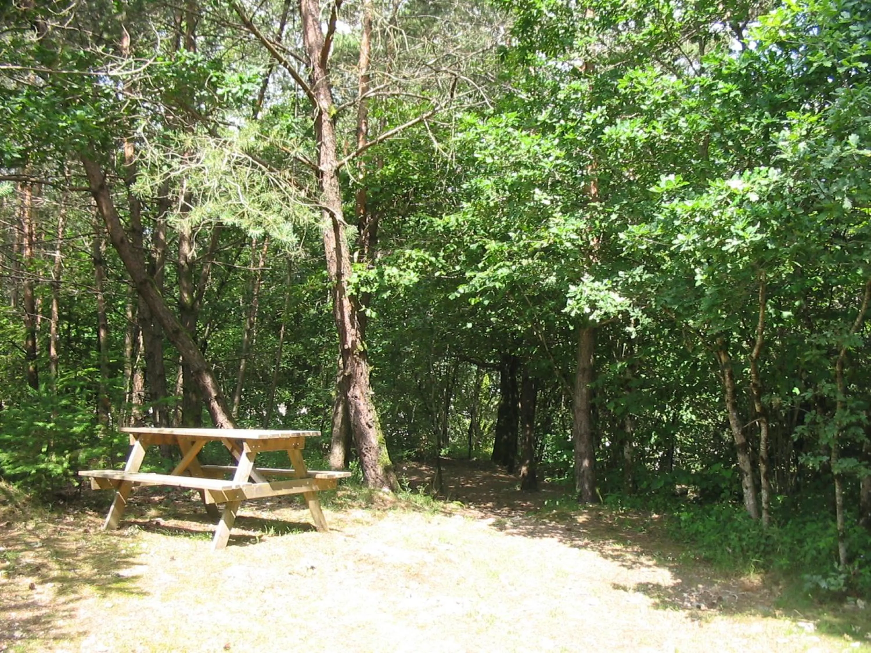 Garden in Chambres d'Hôtes Le Pont
