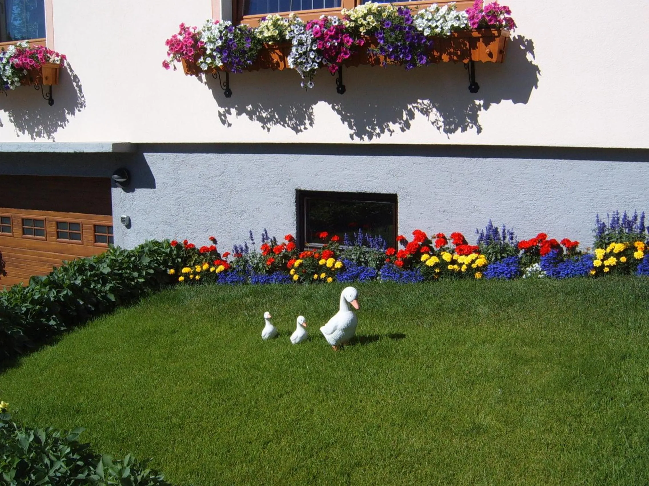 Garden in Pension Felsenheim