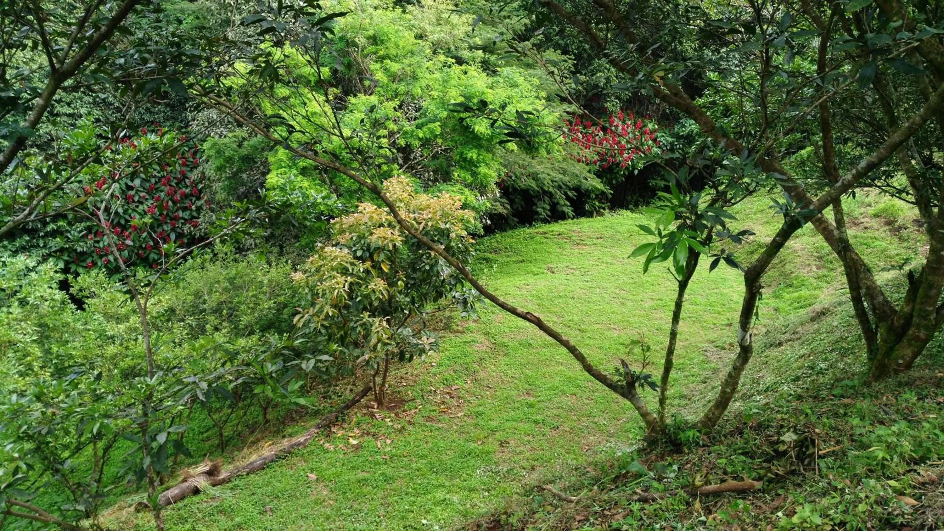 Day in Hotel Pibi Boreal