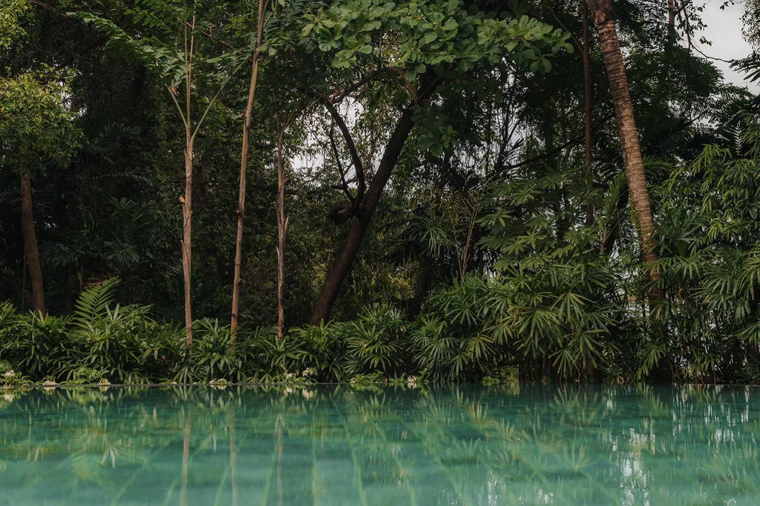 Swimming pool in Capella Singapore