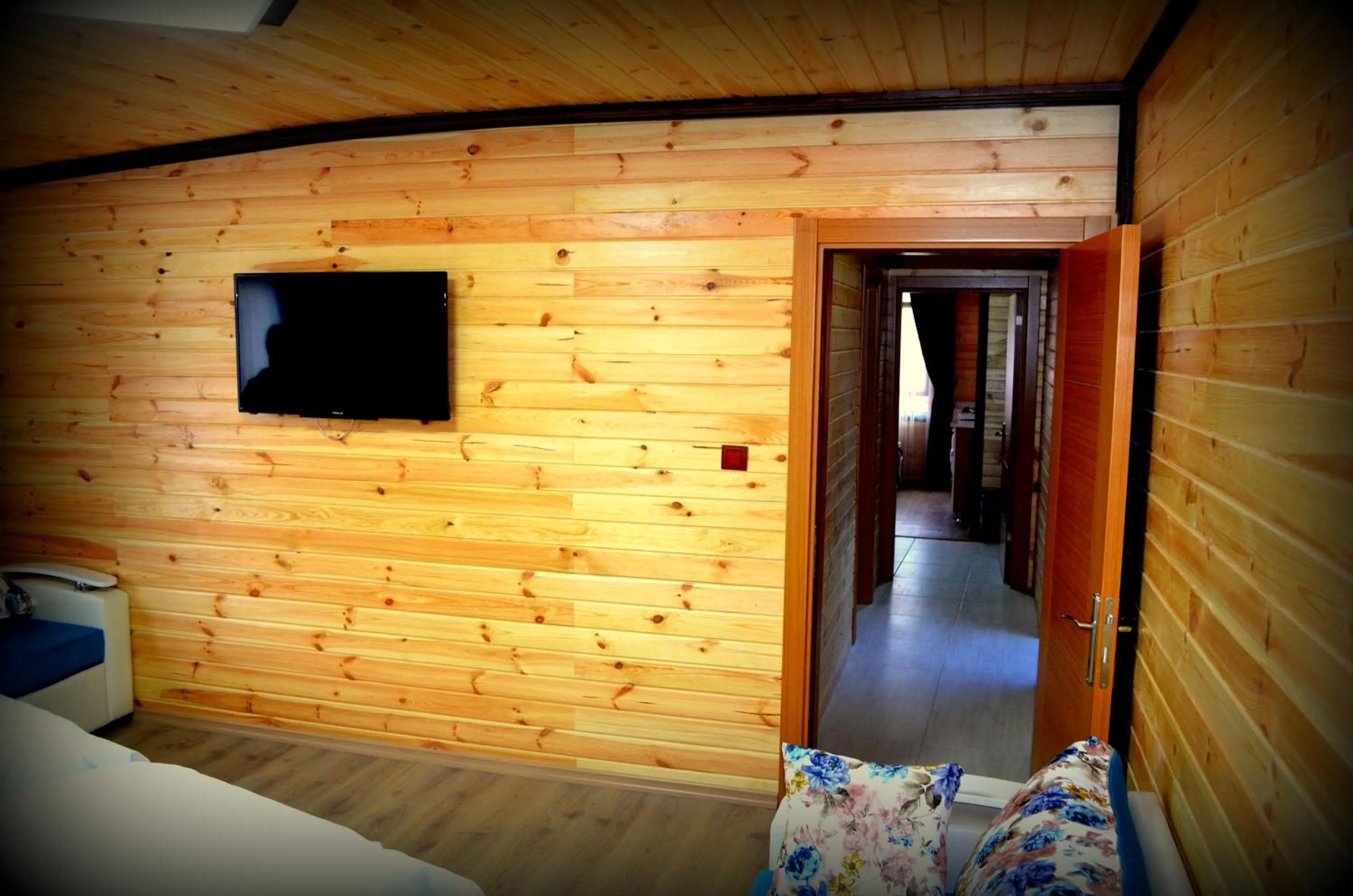 TV and multimedia in Osmanlı Suite