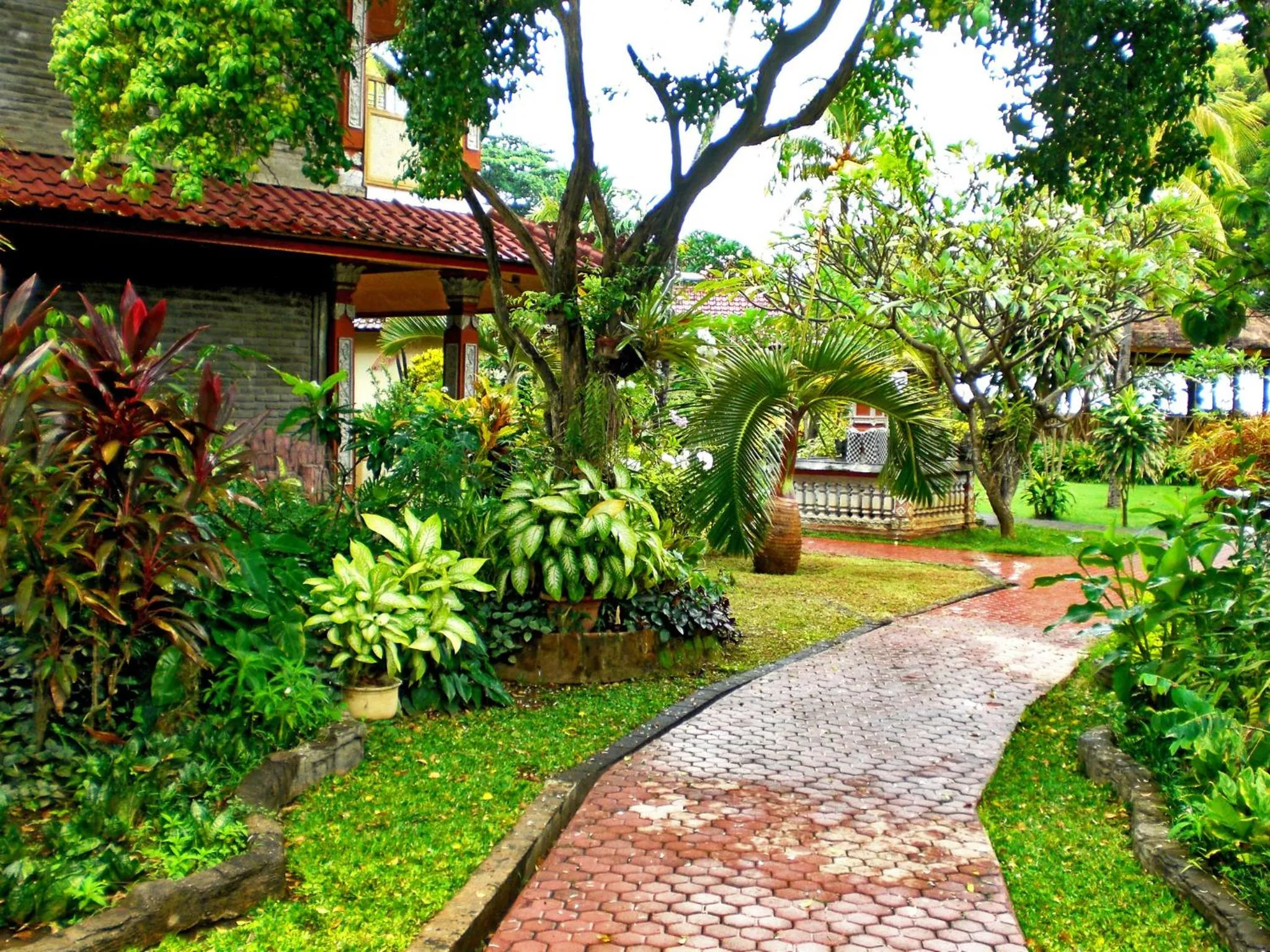 Garden in Lovina Beach Hotel