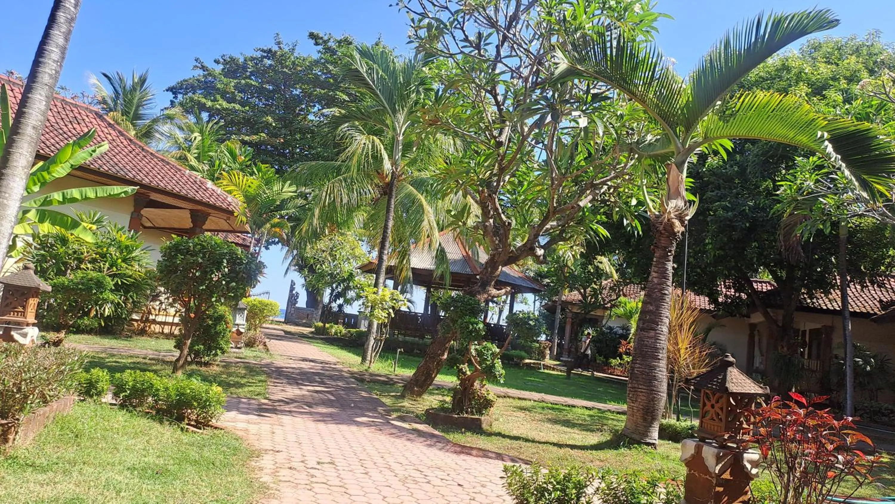 Day in Lovina Beach Hotel