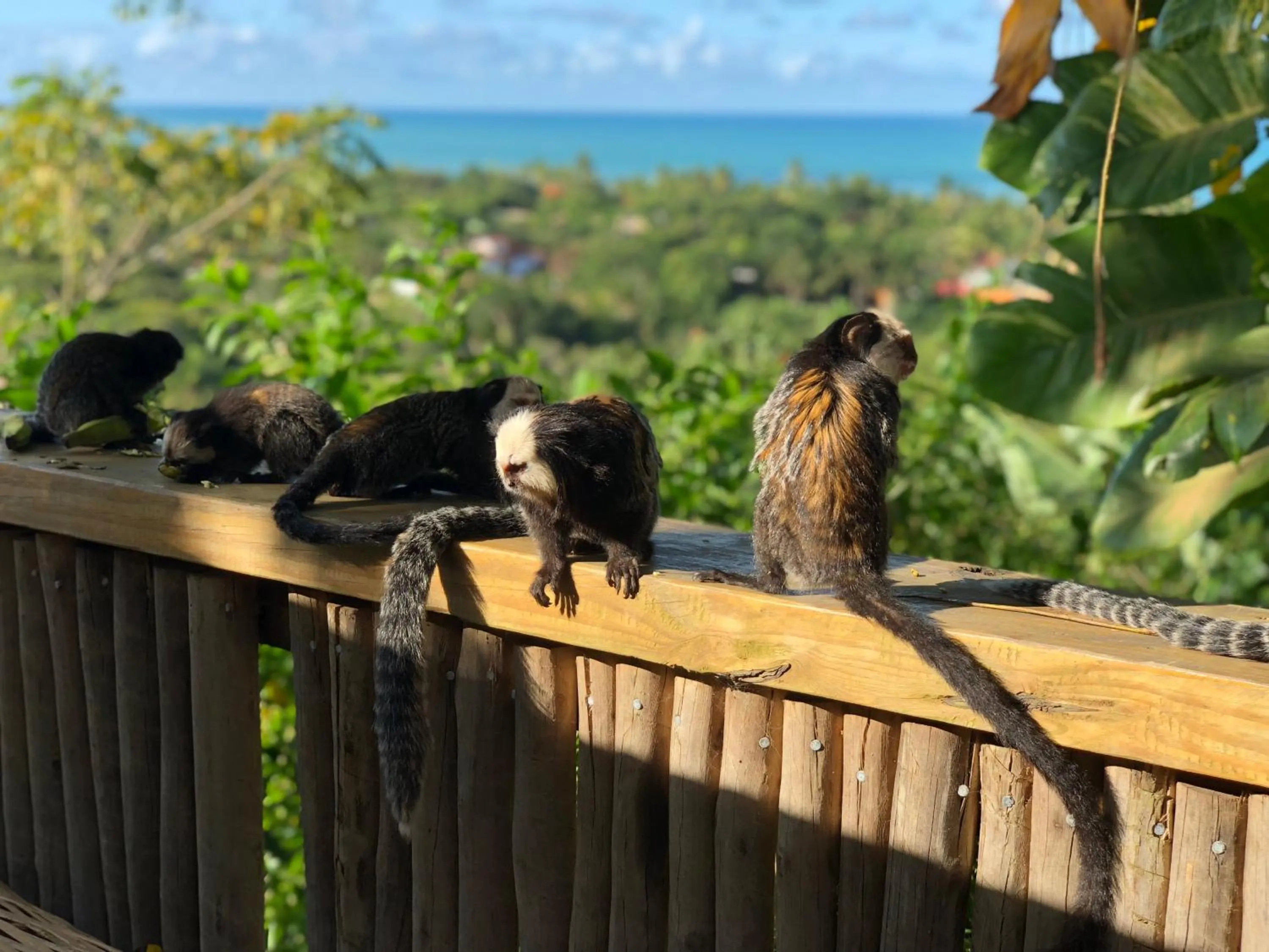 Casa La Torre Hotel Boutique