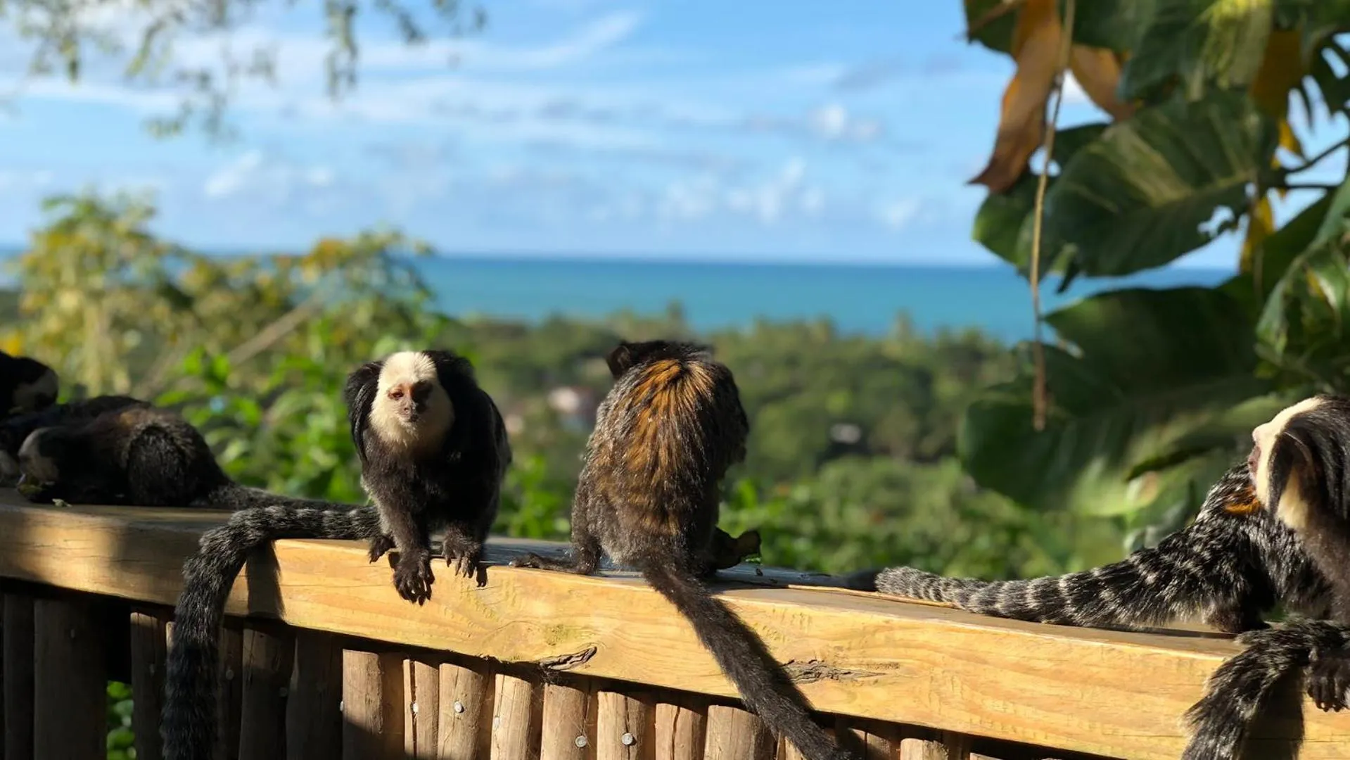 Property building in Casa La Torre Hotel Boutique