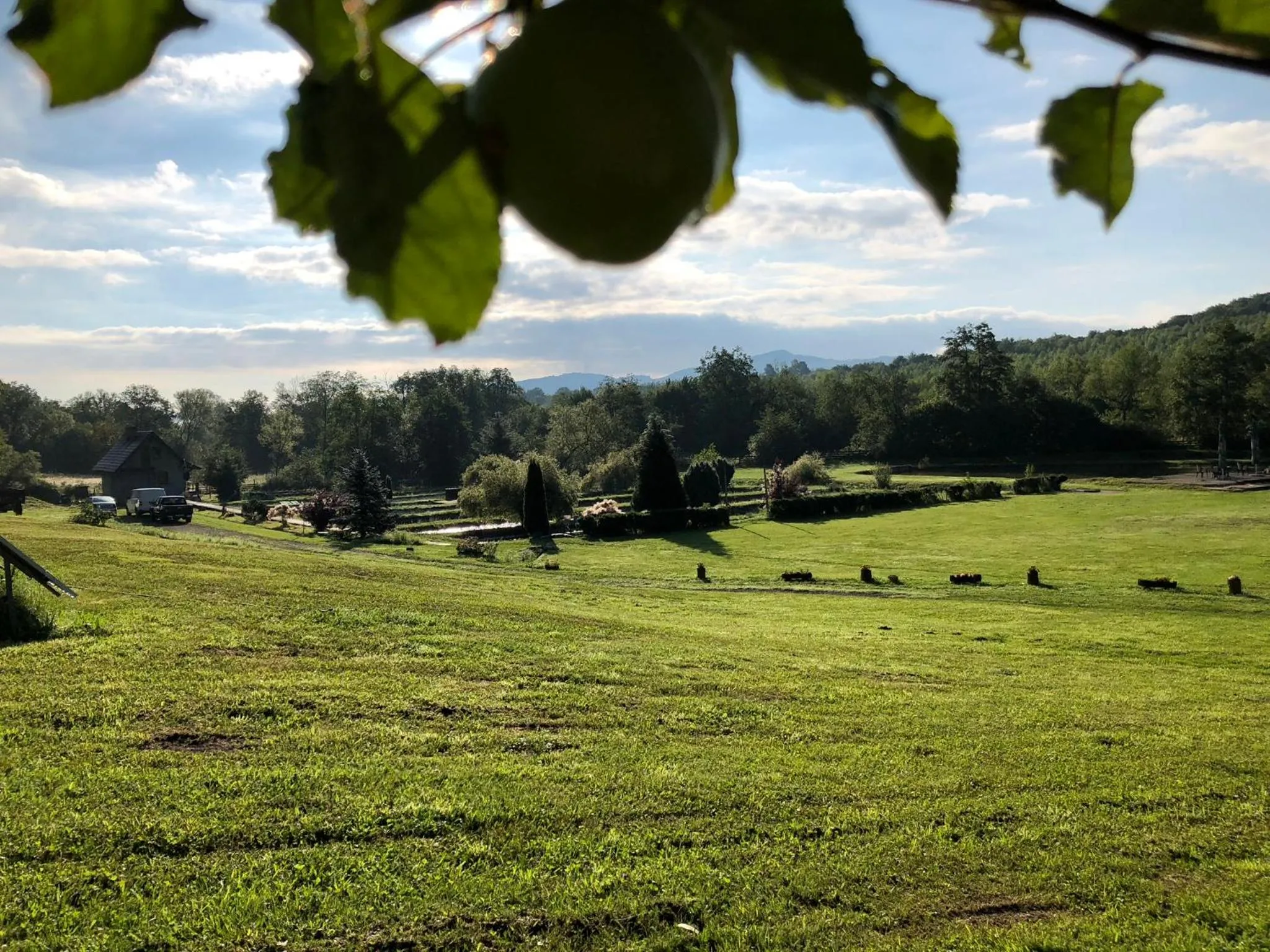 Property building in Valea Salbatica