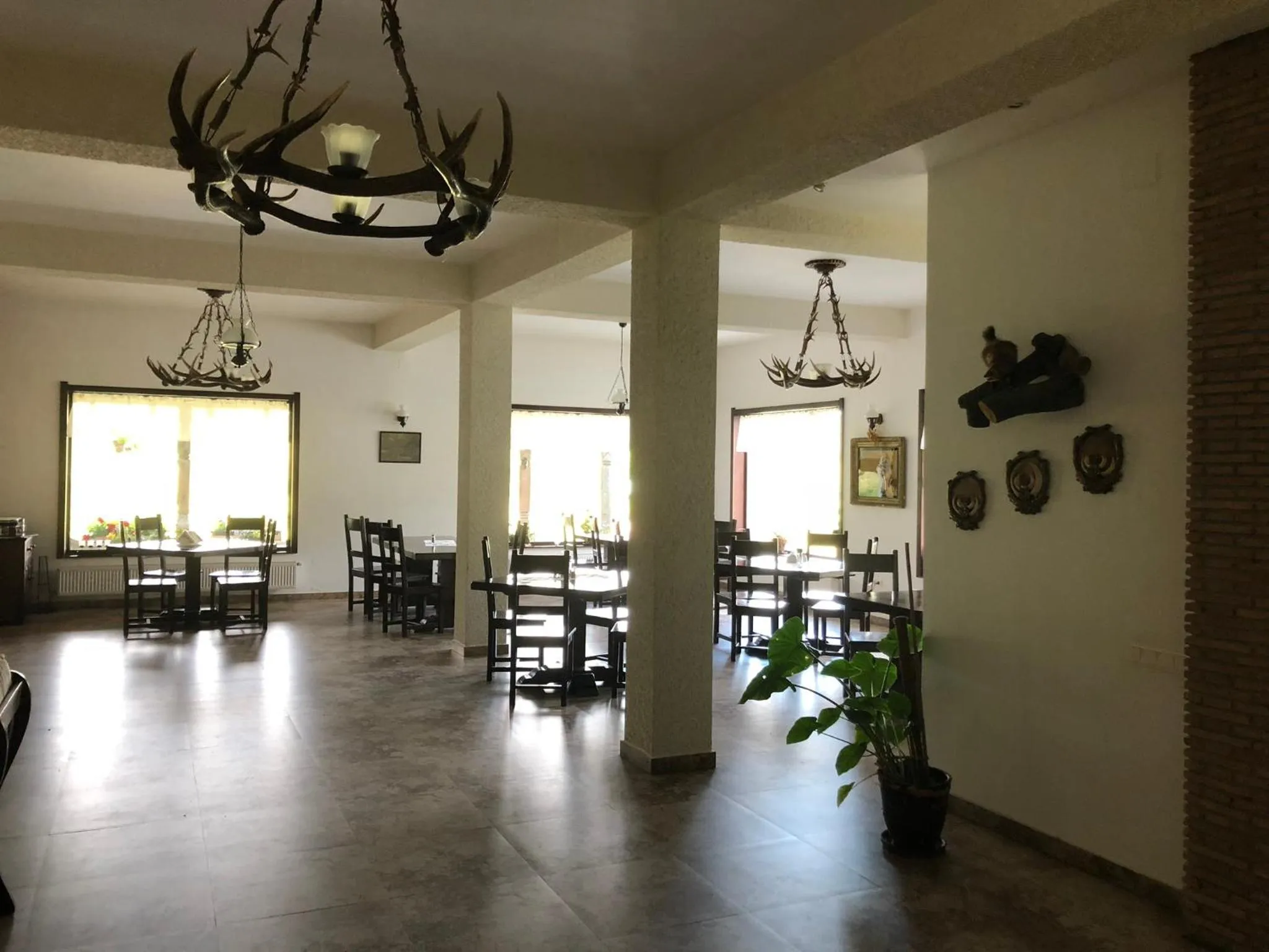 Restaurant/places to eat in Valea Salbatica