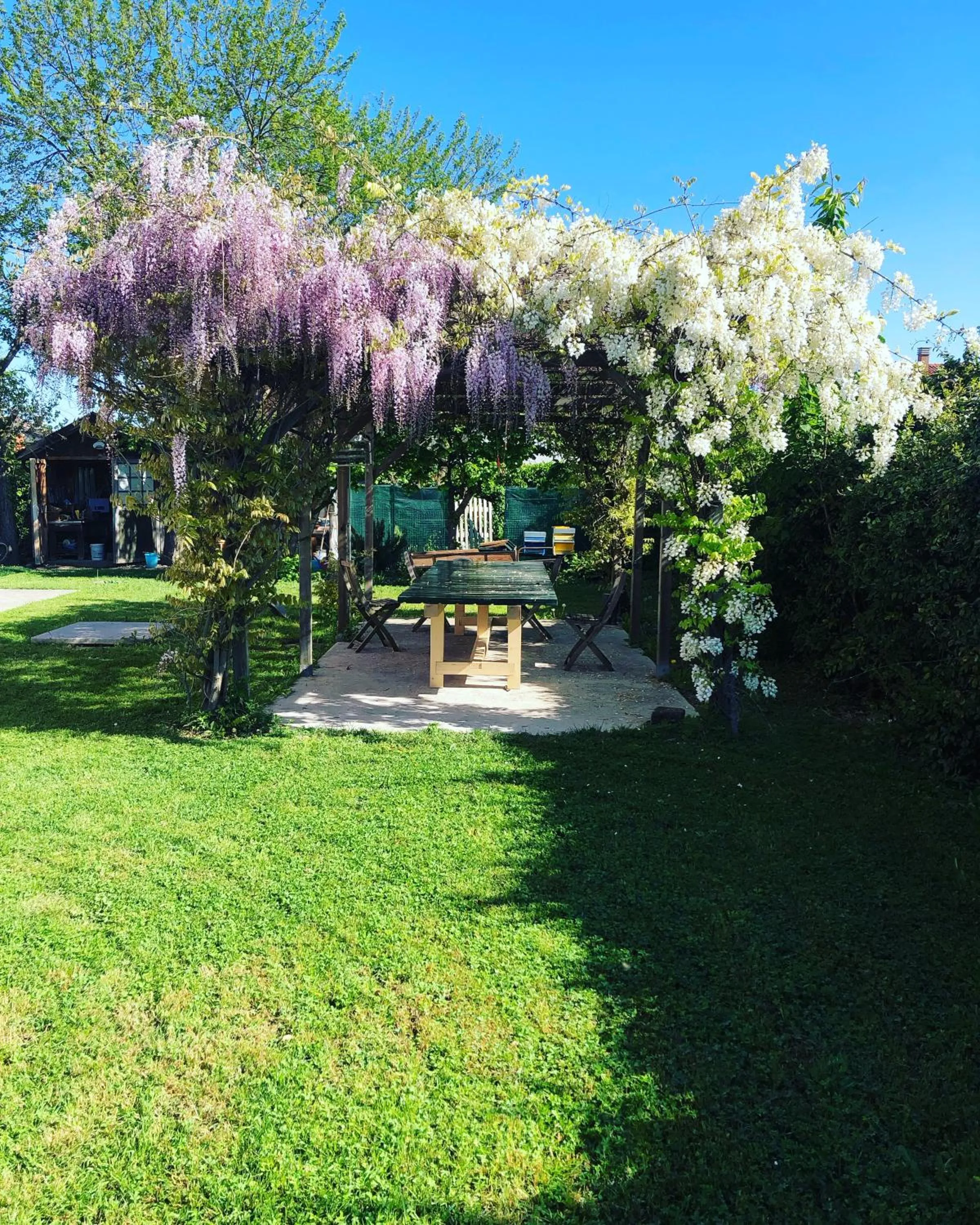 View (from property/room) in B&B MELLONI STREET