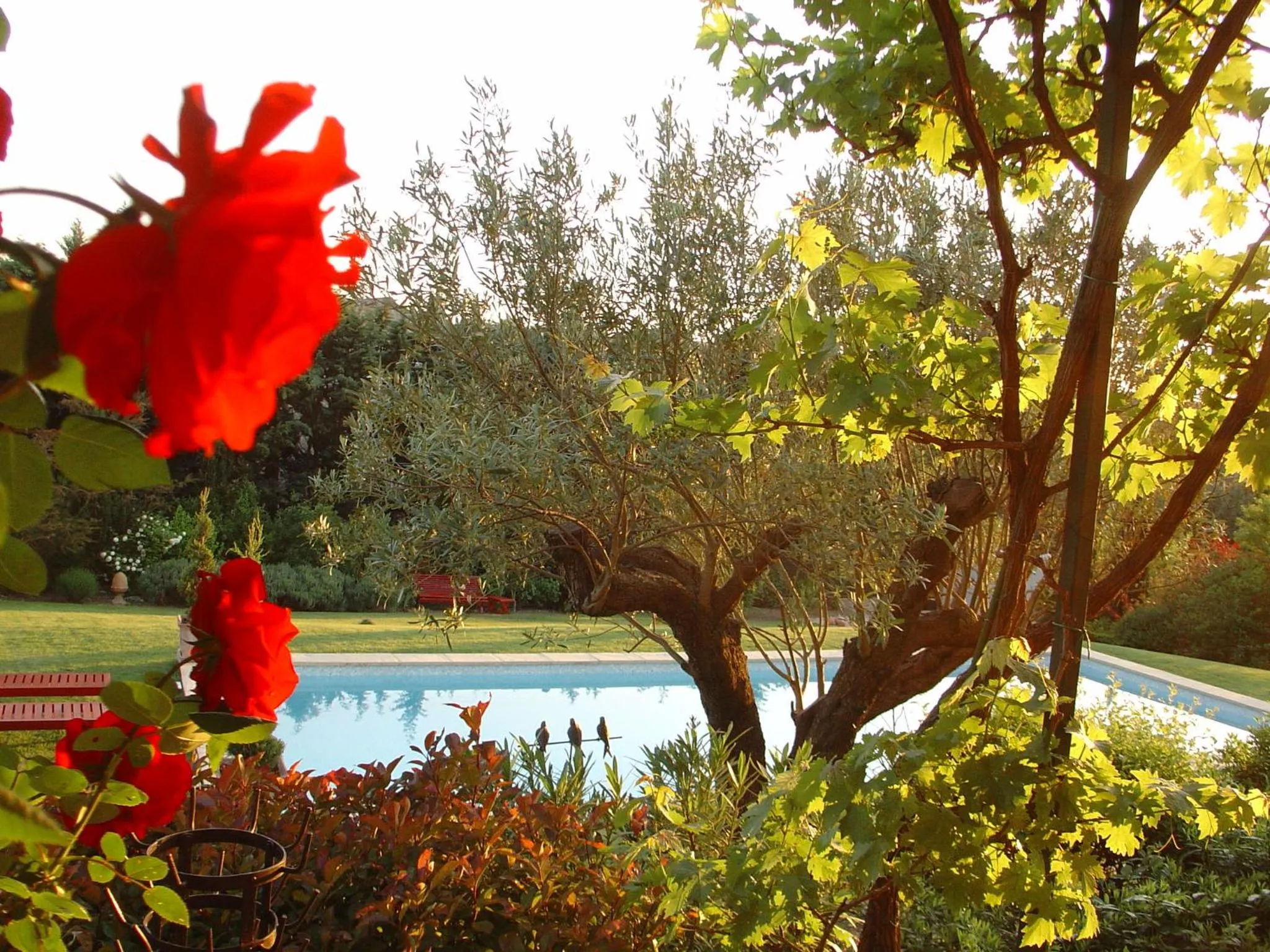 Pool view in La Bastide Tara