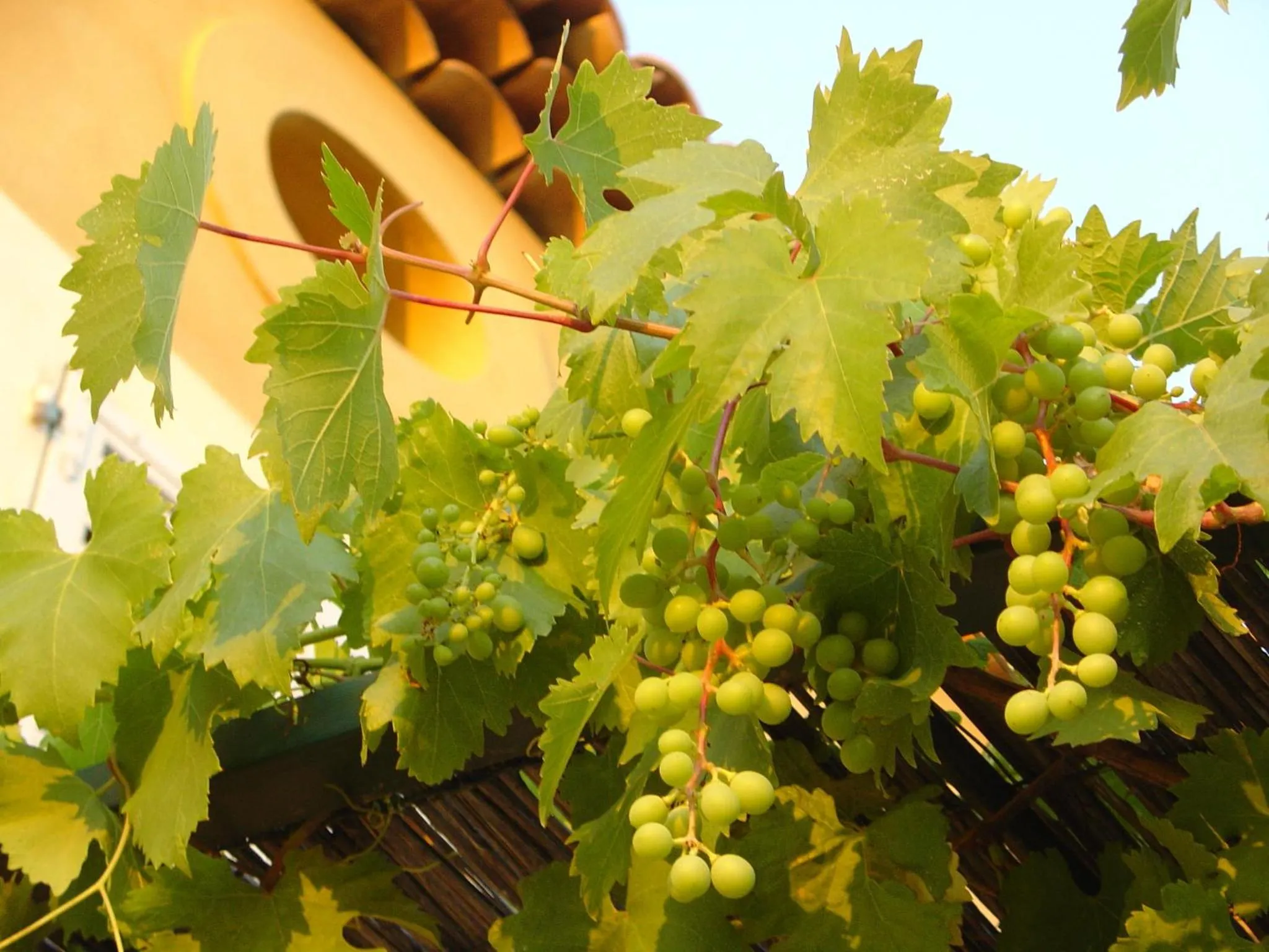 Decorative detail in La Bastide Tara