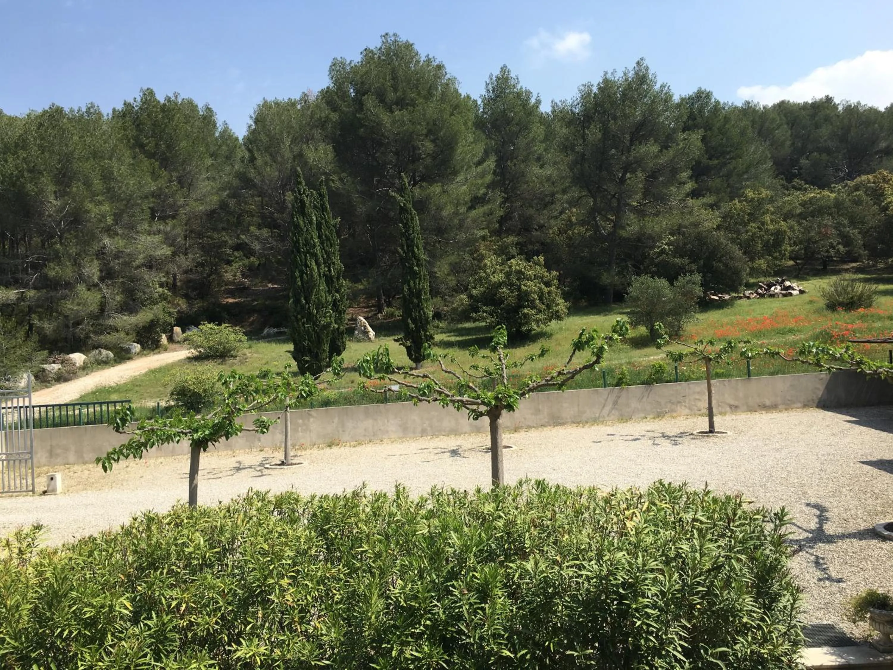 View (from property/room) in La Bastide Tara