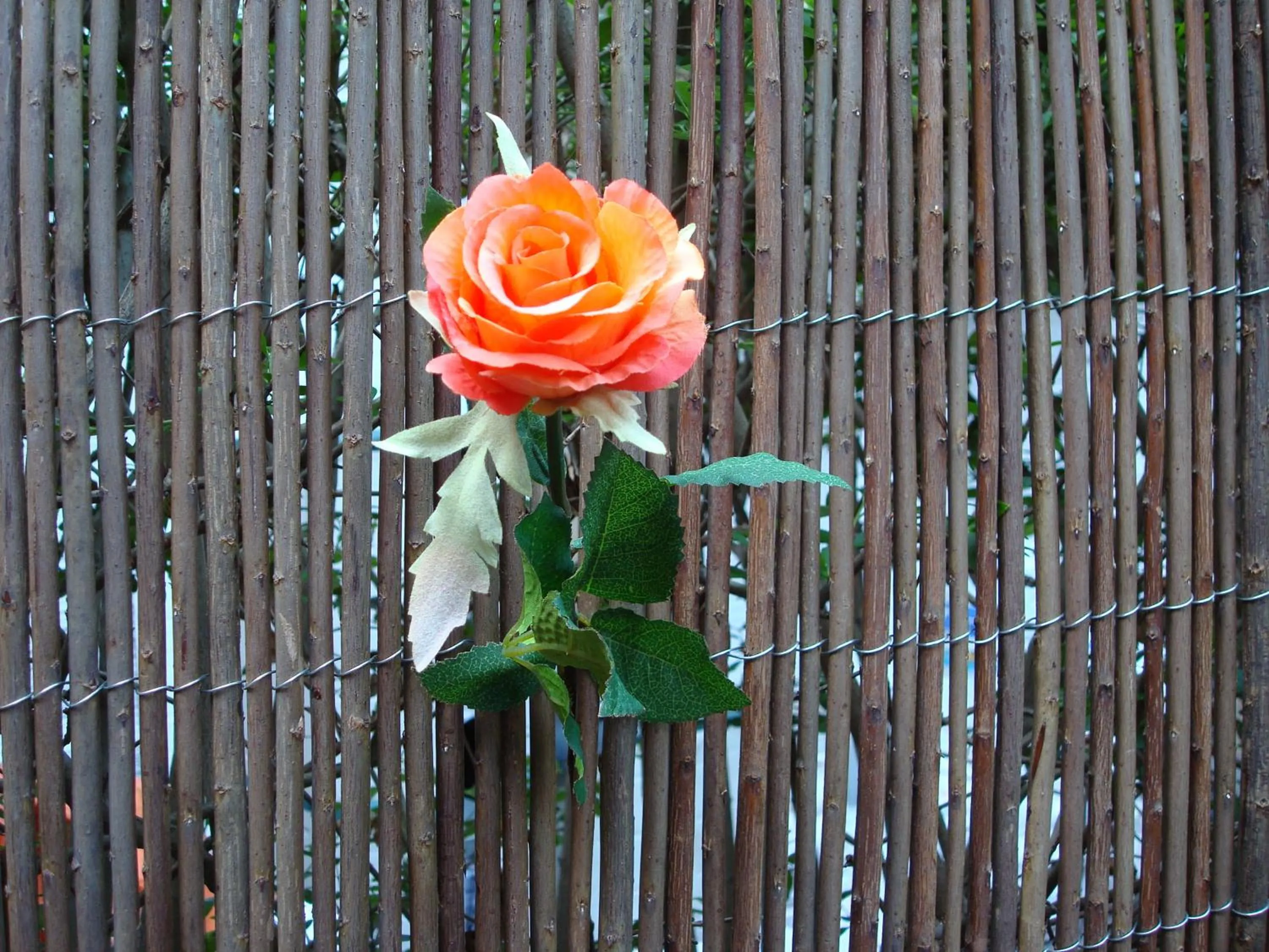 Decorative detail in Brigitte & Alain