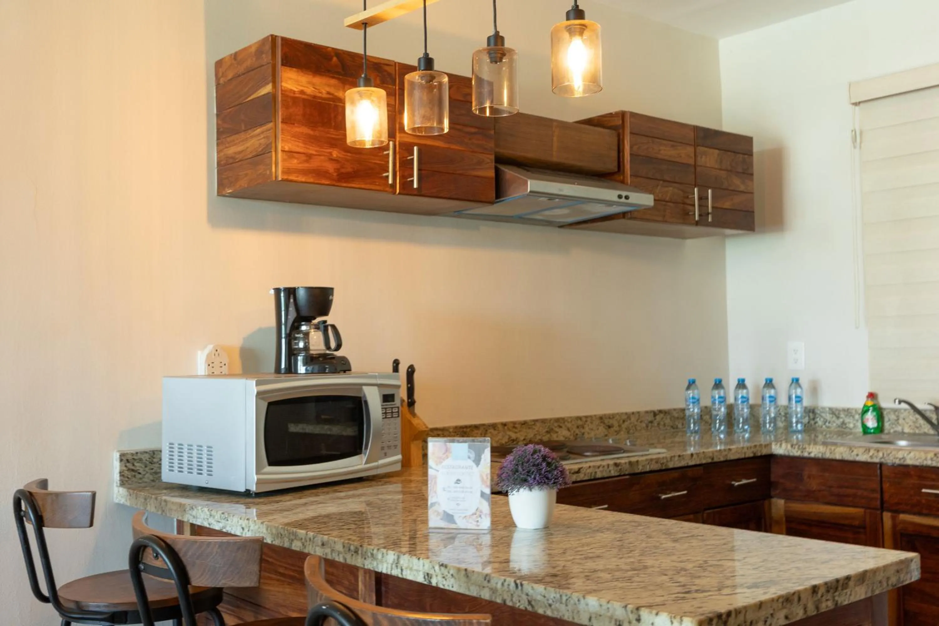 Kitchen or kitchenette in Aquastar Unique Hotel & Apartments Mahahual