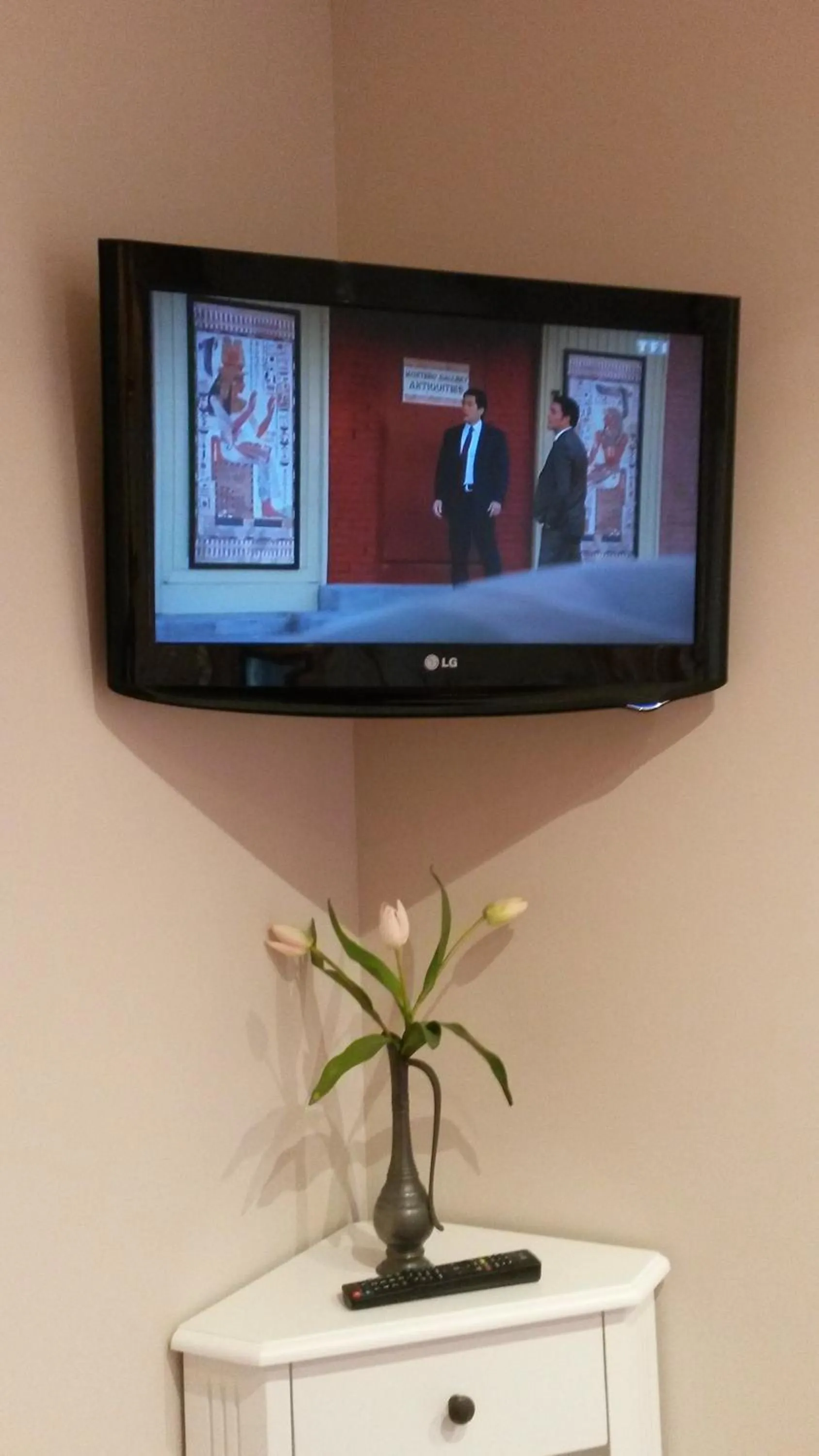 TV and multimedia in La Milane