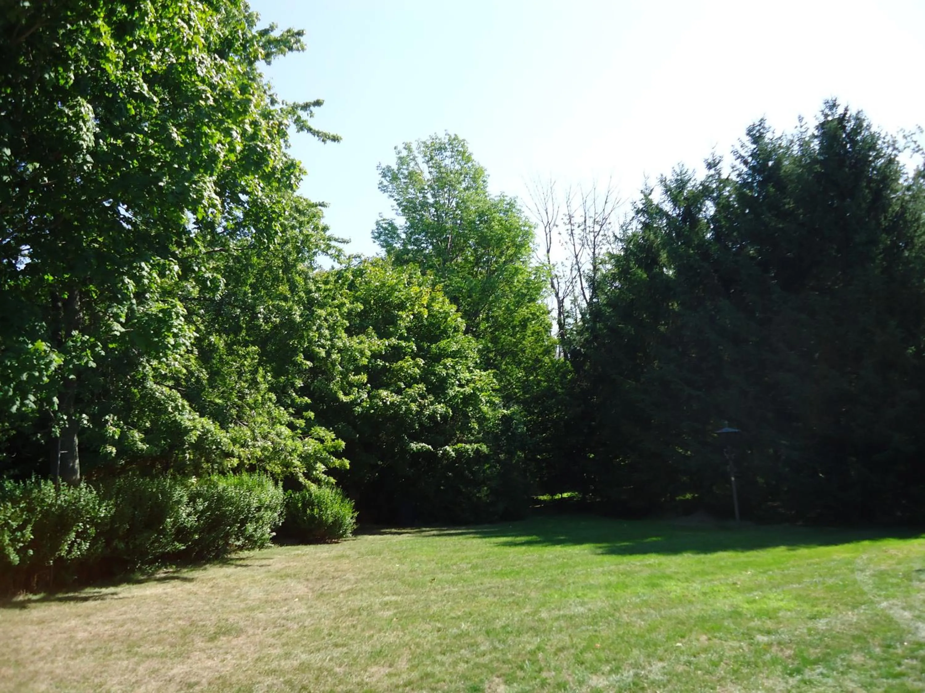 View (from property/room) in Dunlop Motel