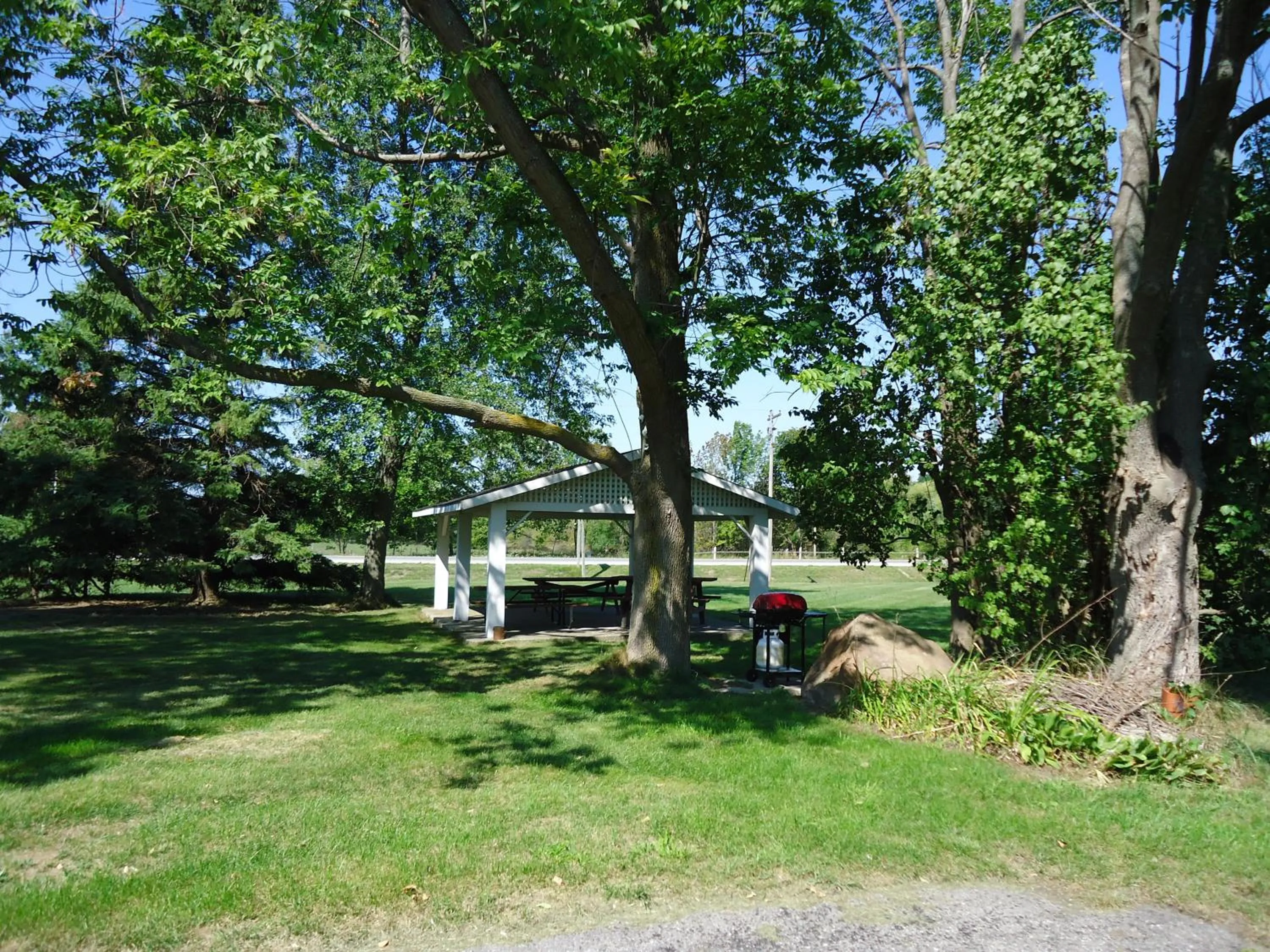 BBQ facilities in Dunlop Motel