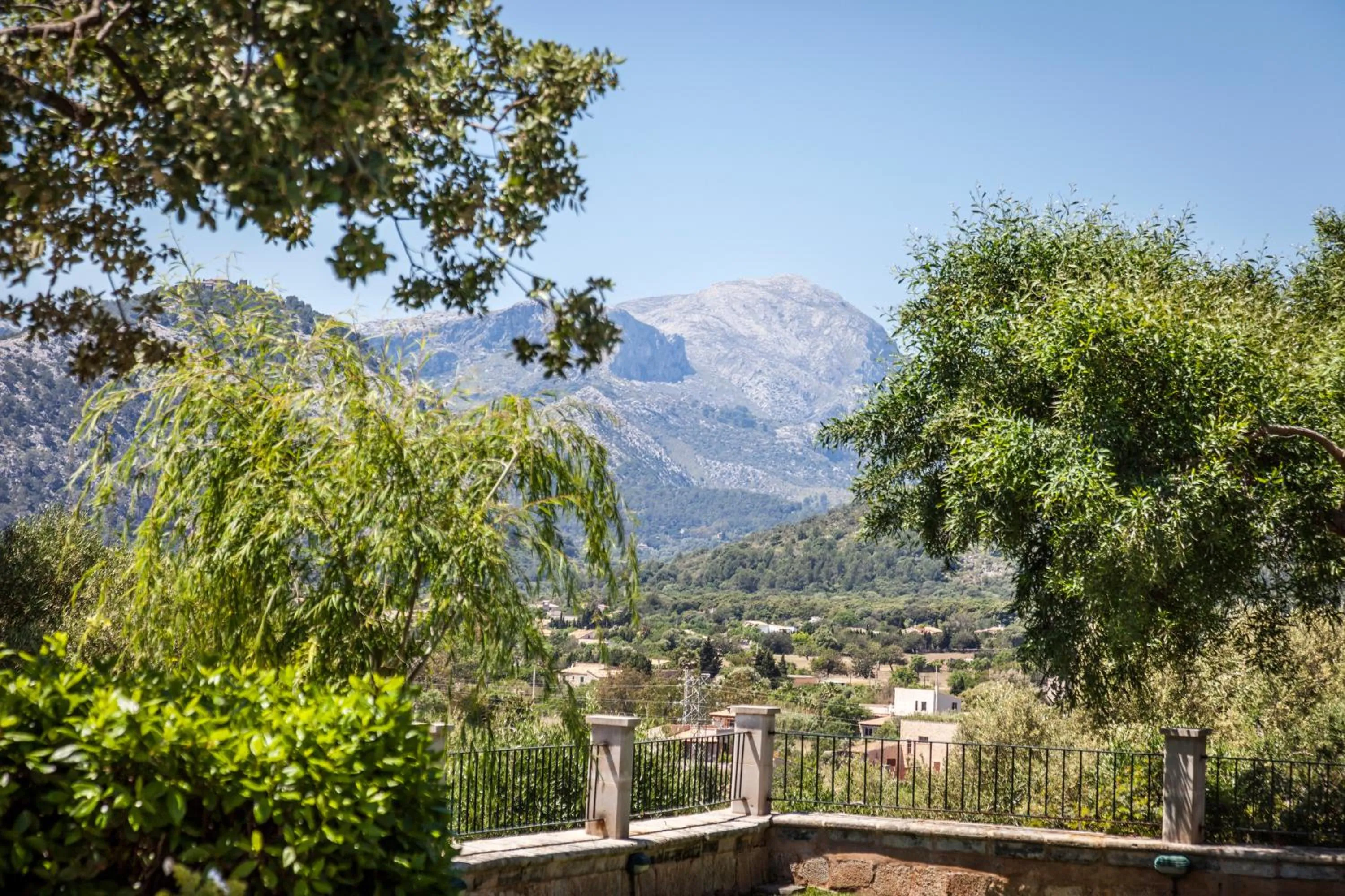 Natural landscape in Hotel Llenaire