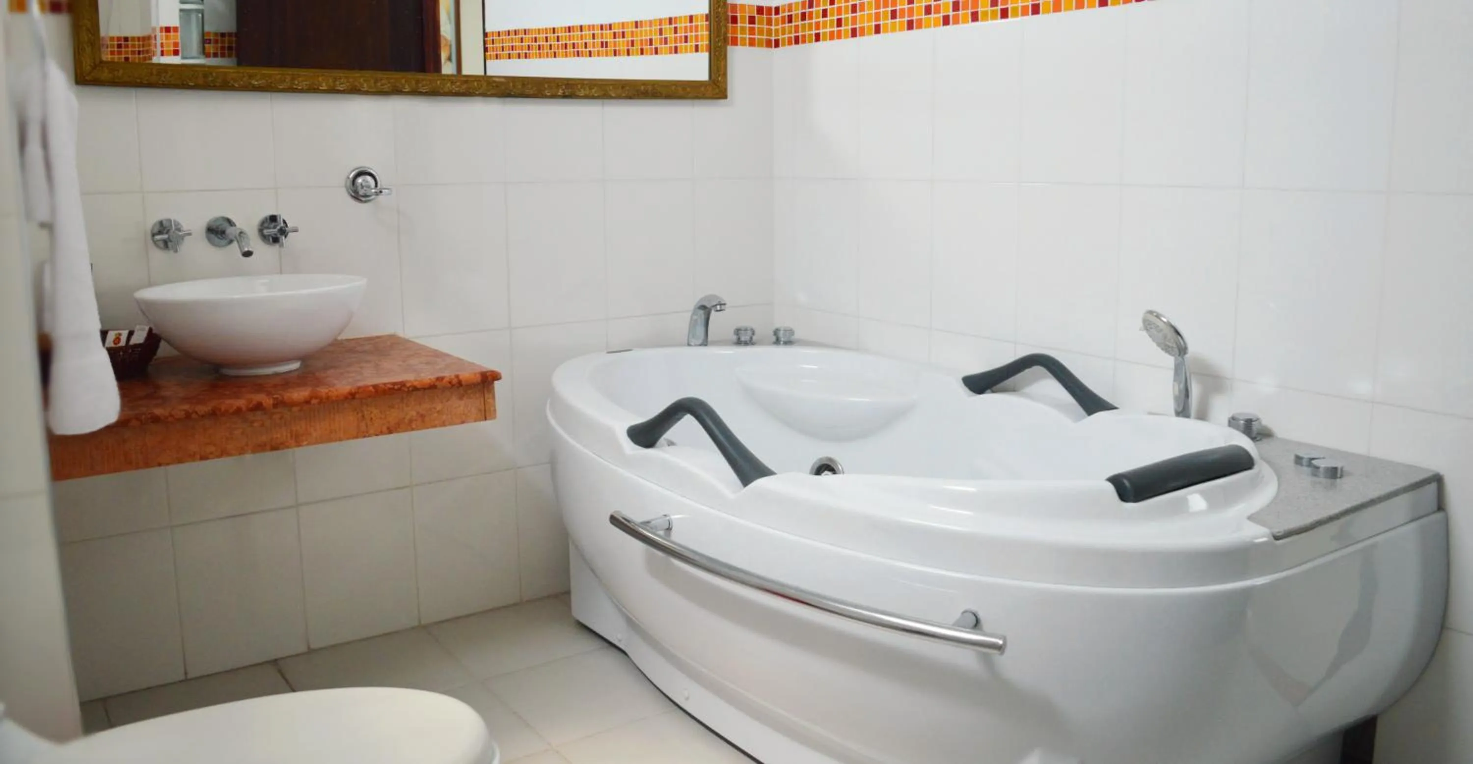 Hot Tub in Hotel Plaza Versalles