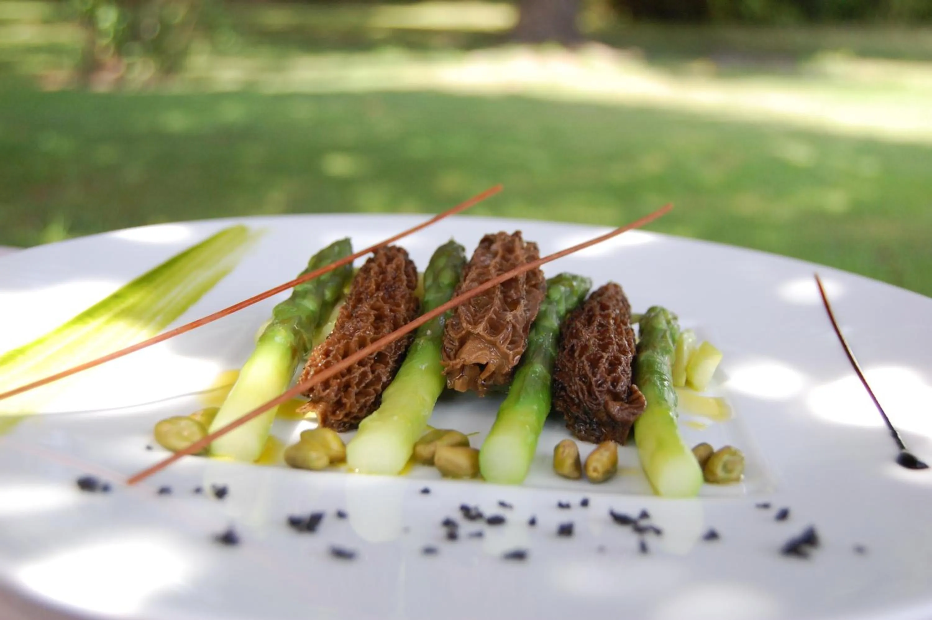 Patio in Château de Champlong Table Hôtel **** Golf & Spa