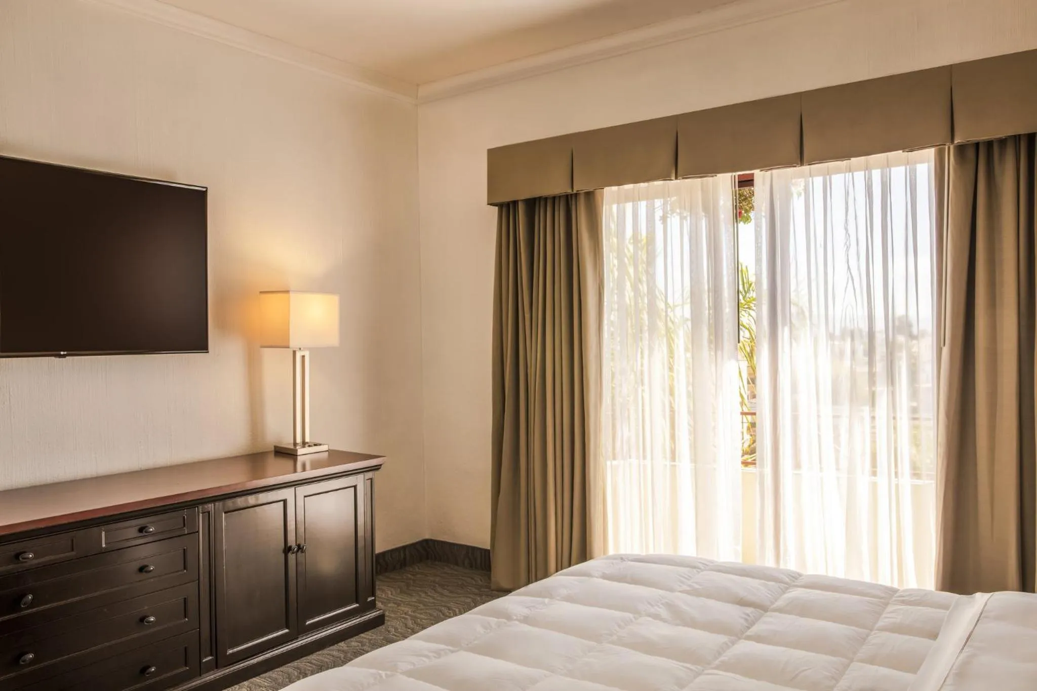 Photo of the whole room in Gamma Tijuana