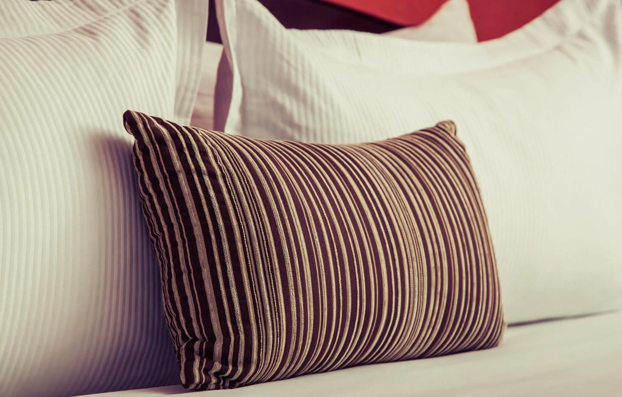 Property building in Gamma Tijuana