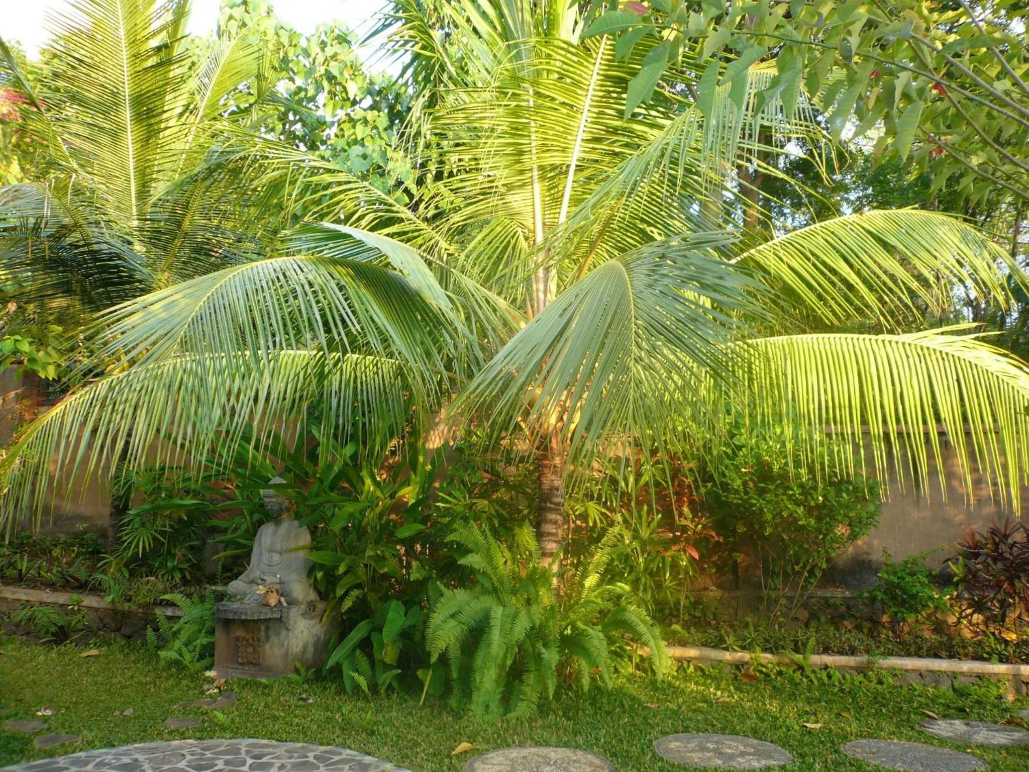 Garden in Sananda Bungalow