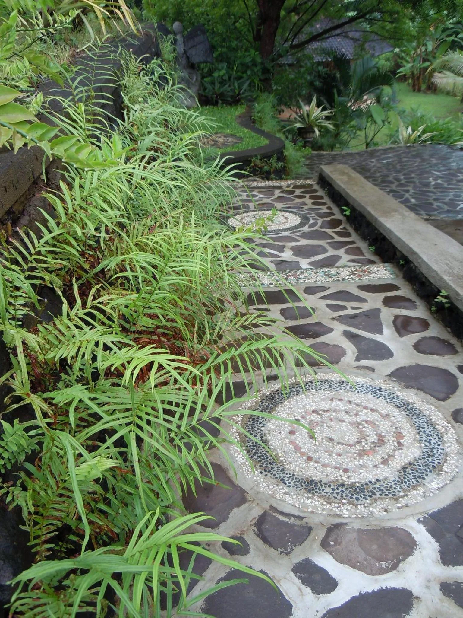 Garden in Sananda Bungalow