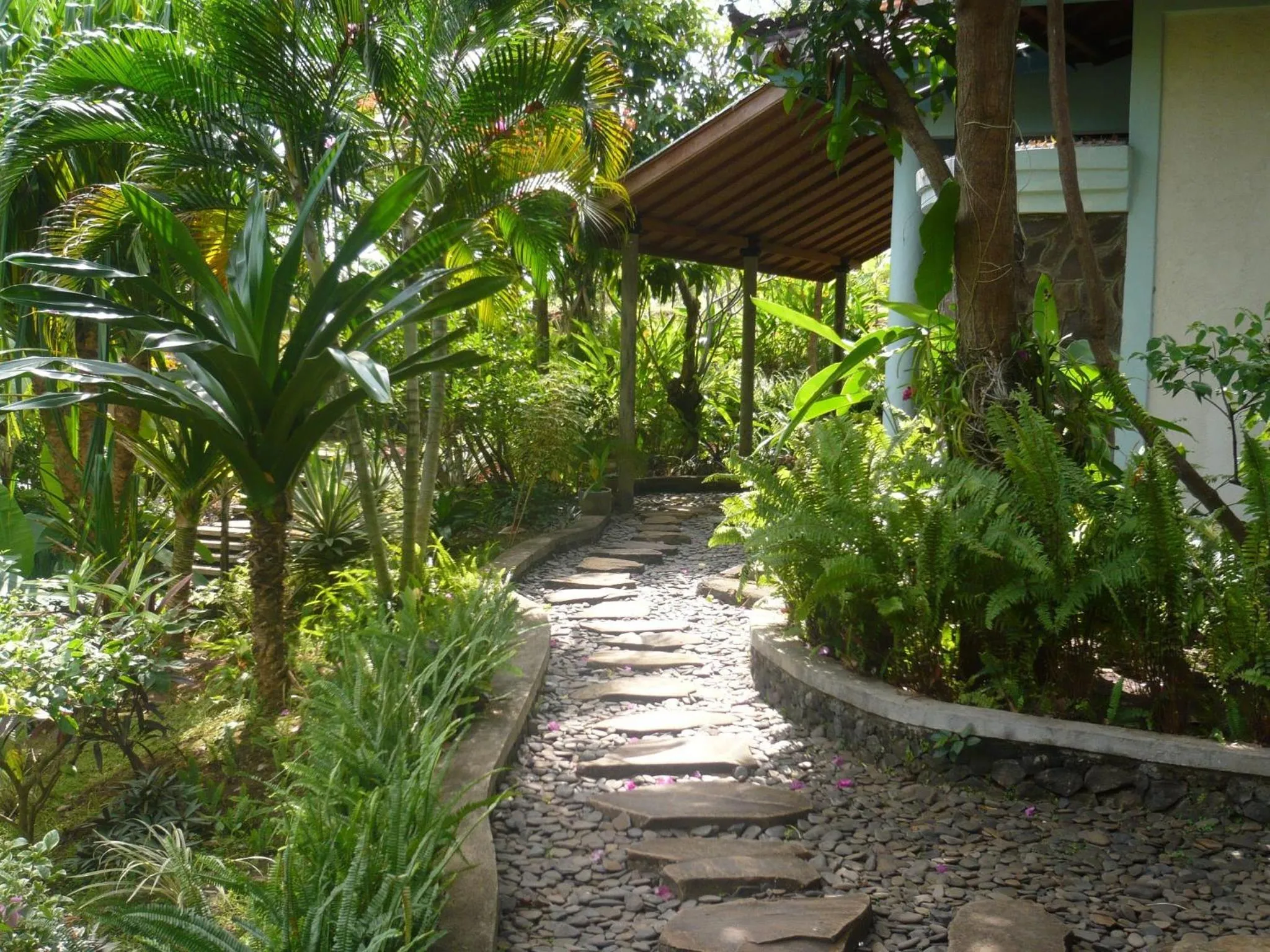 Garden in Sananda Bungalow