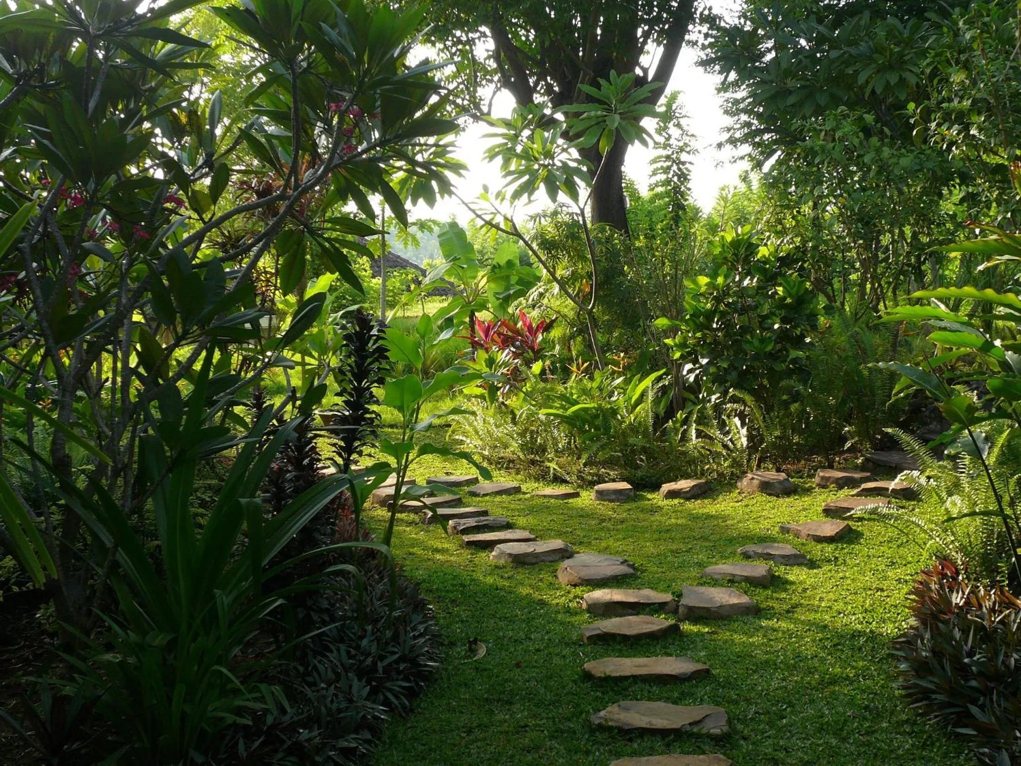 Garden in Sananda Bungalow