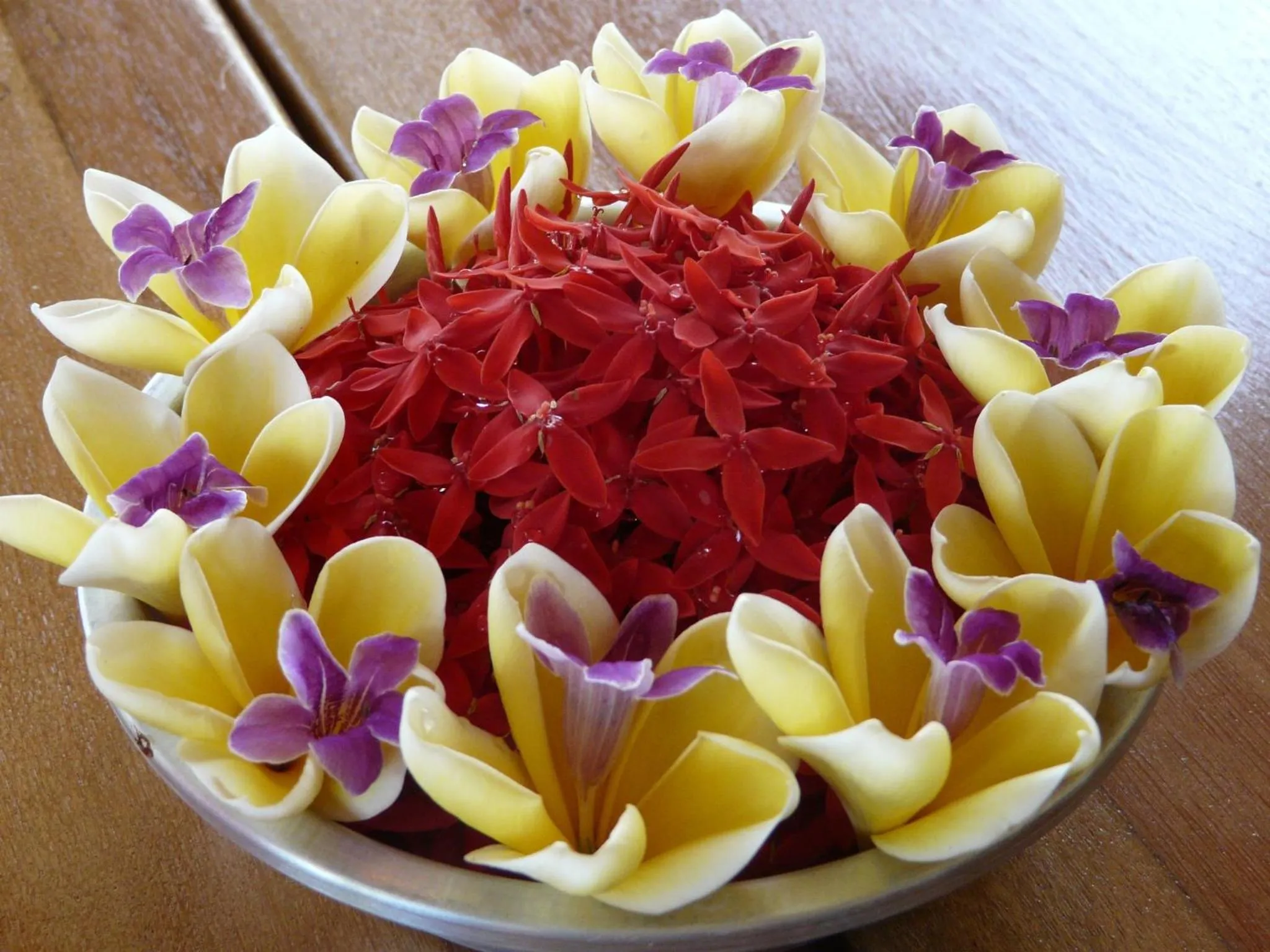 Other in Sananda Bungalow