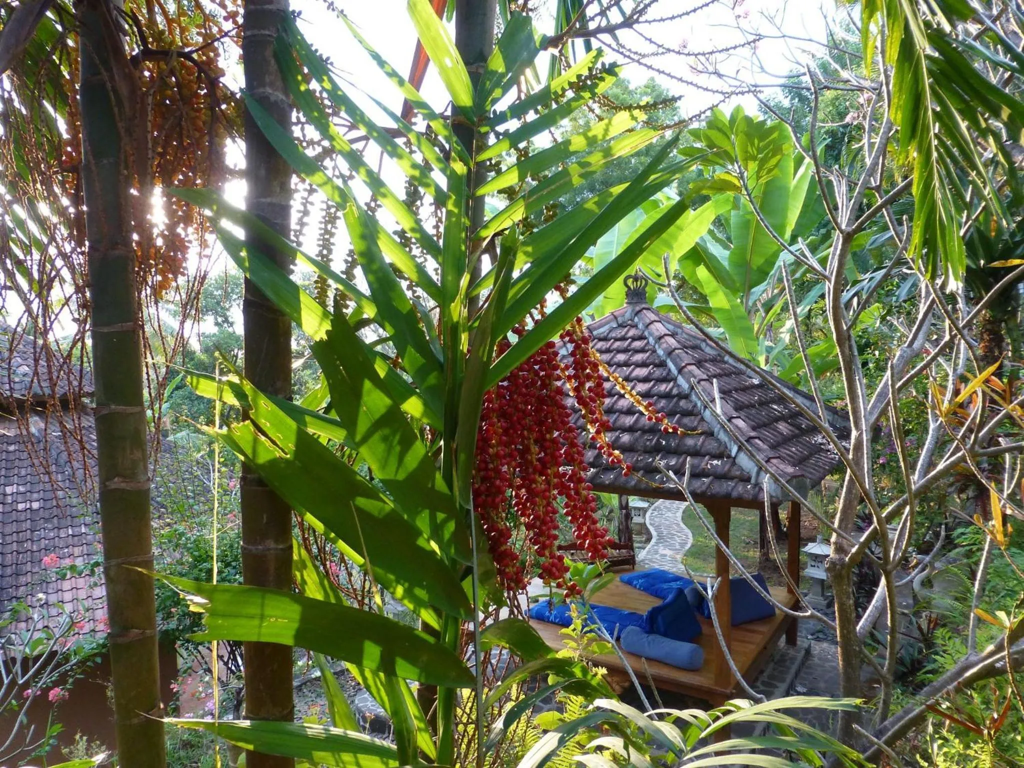 Garden in Sananda Bungalow
