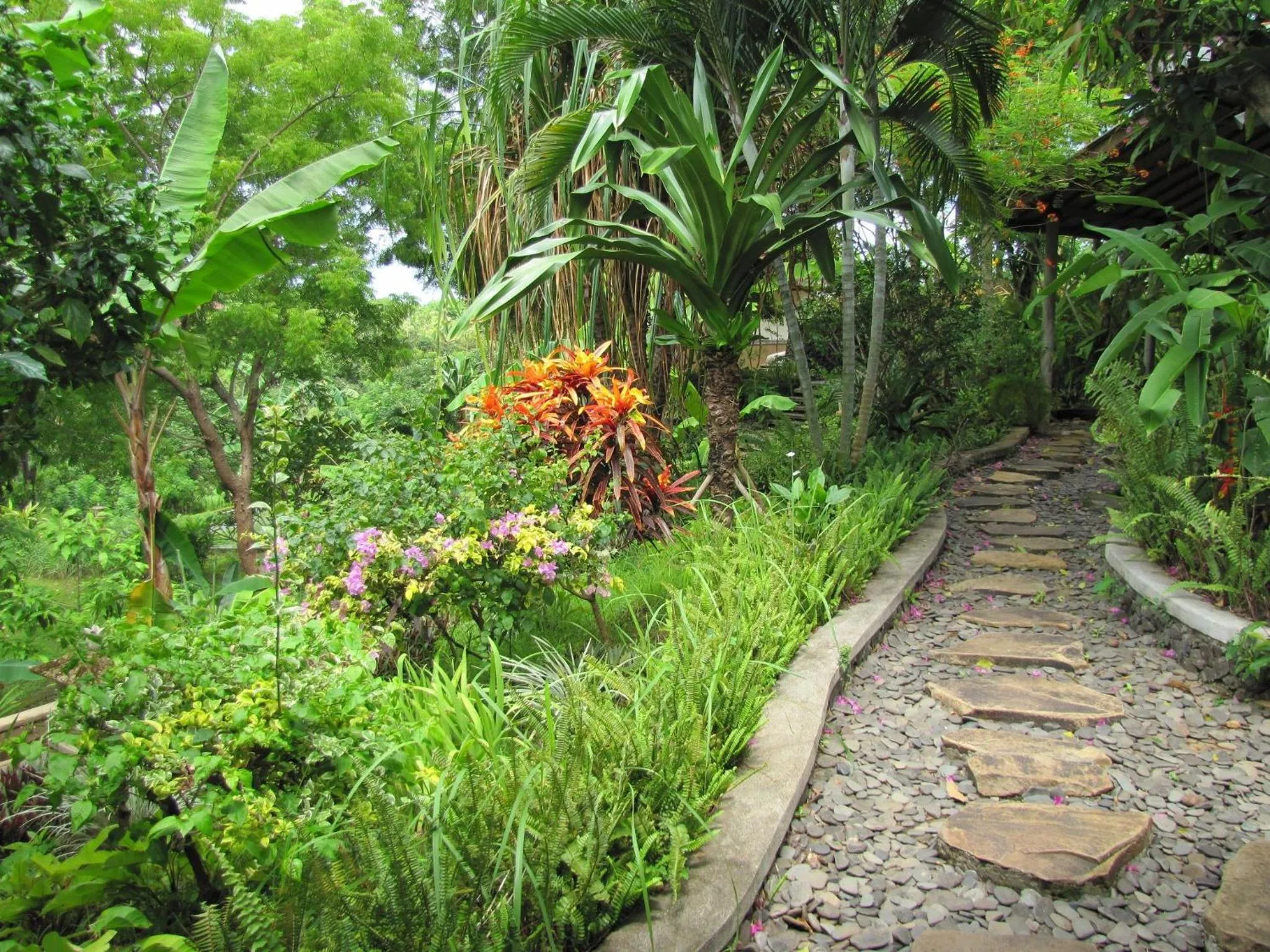 Garden in Sananda Bungalow