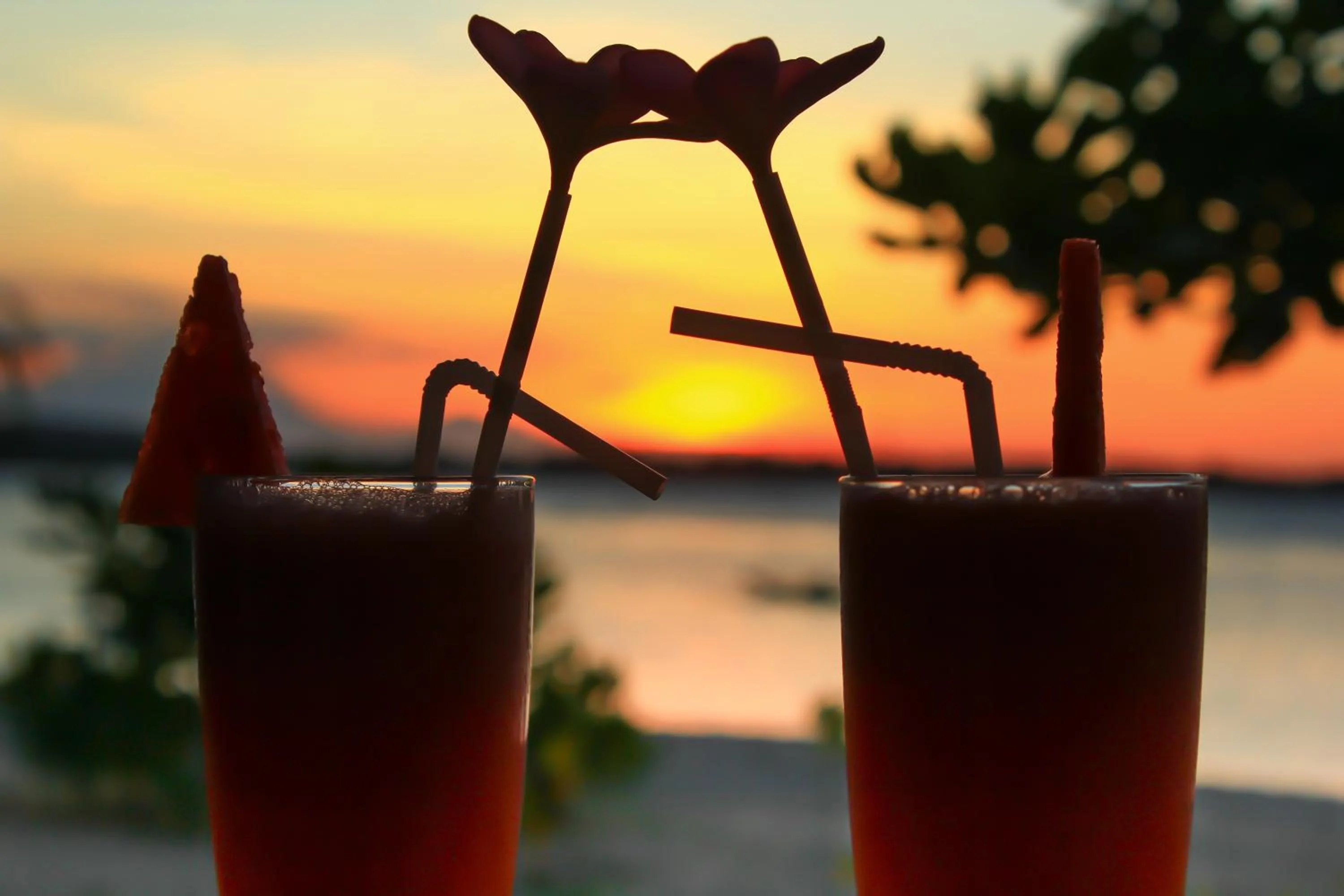 Restaurant/places to eat in Salili Bungalow