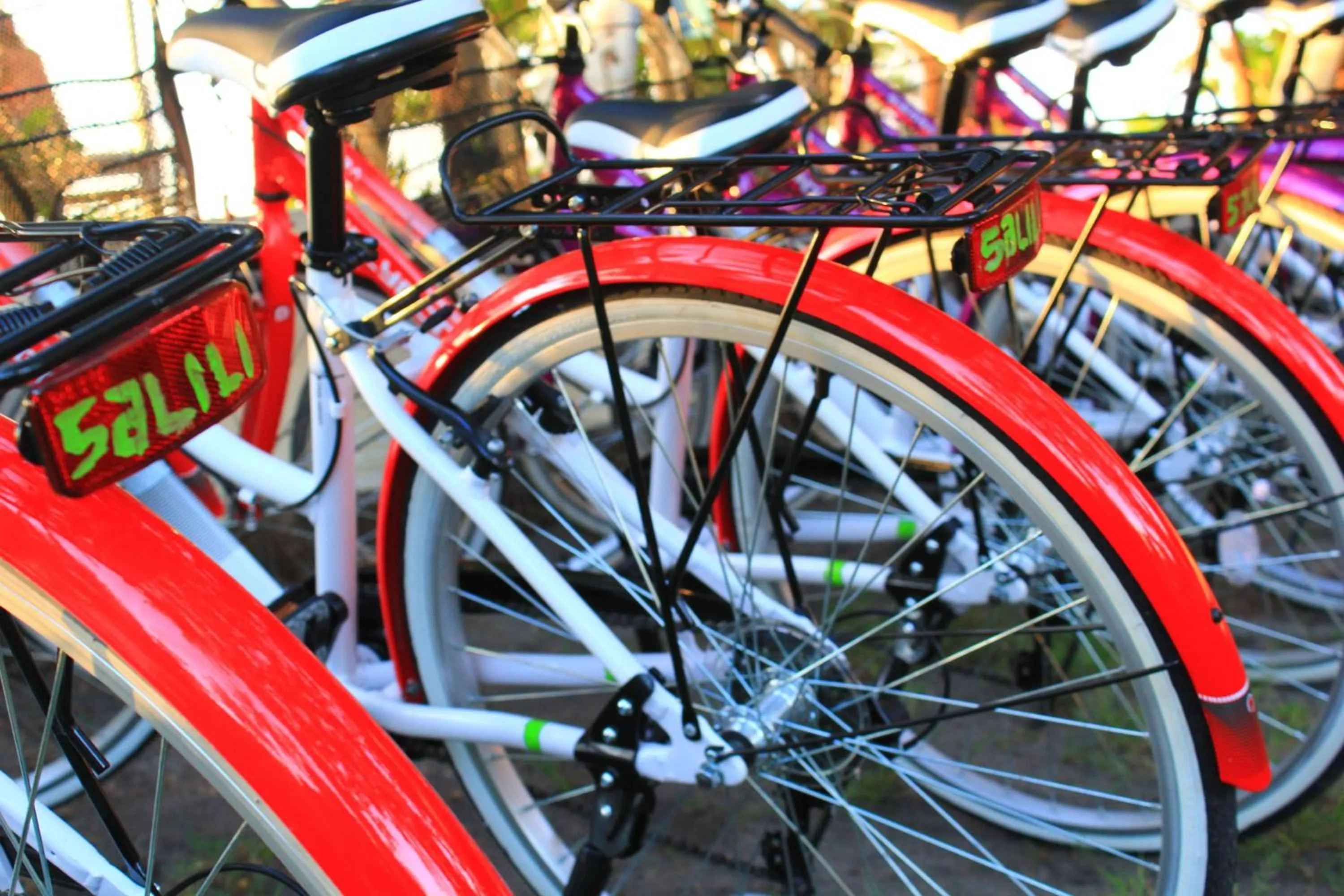 Cycling in Salili Bungalow