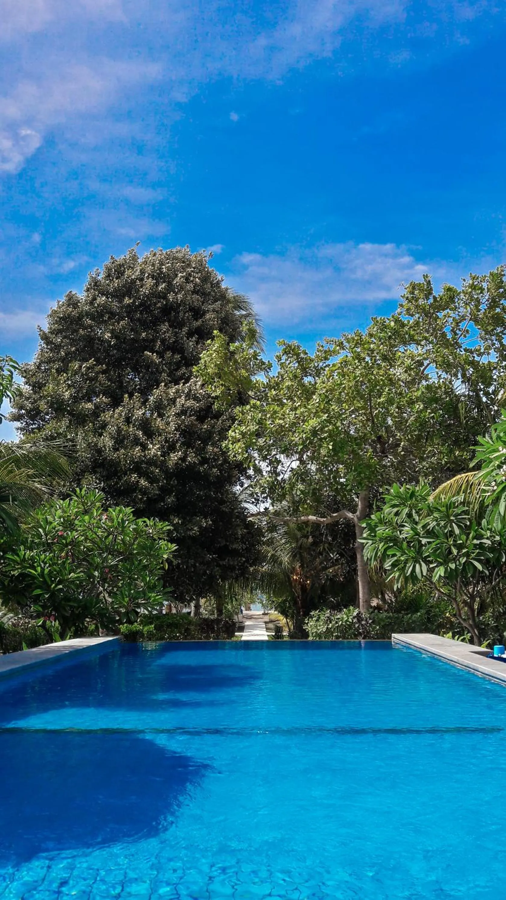 Pool view in Salili Bungalow