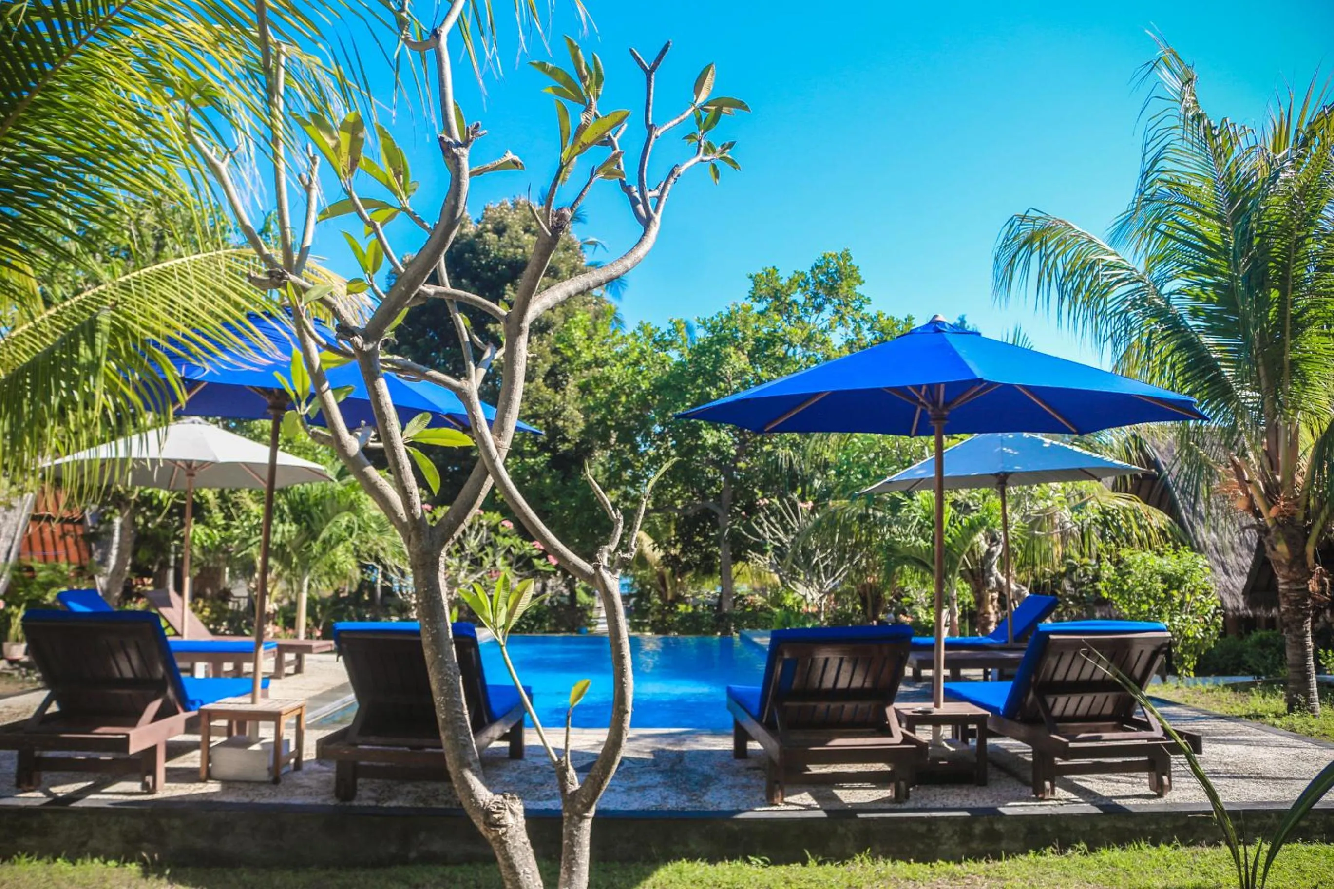 Garden in Salili Bungalow