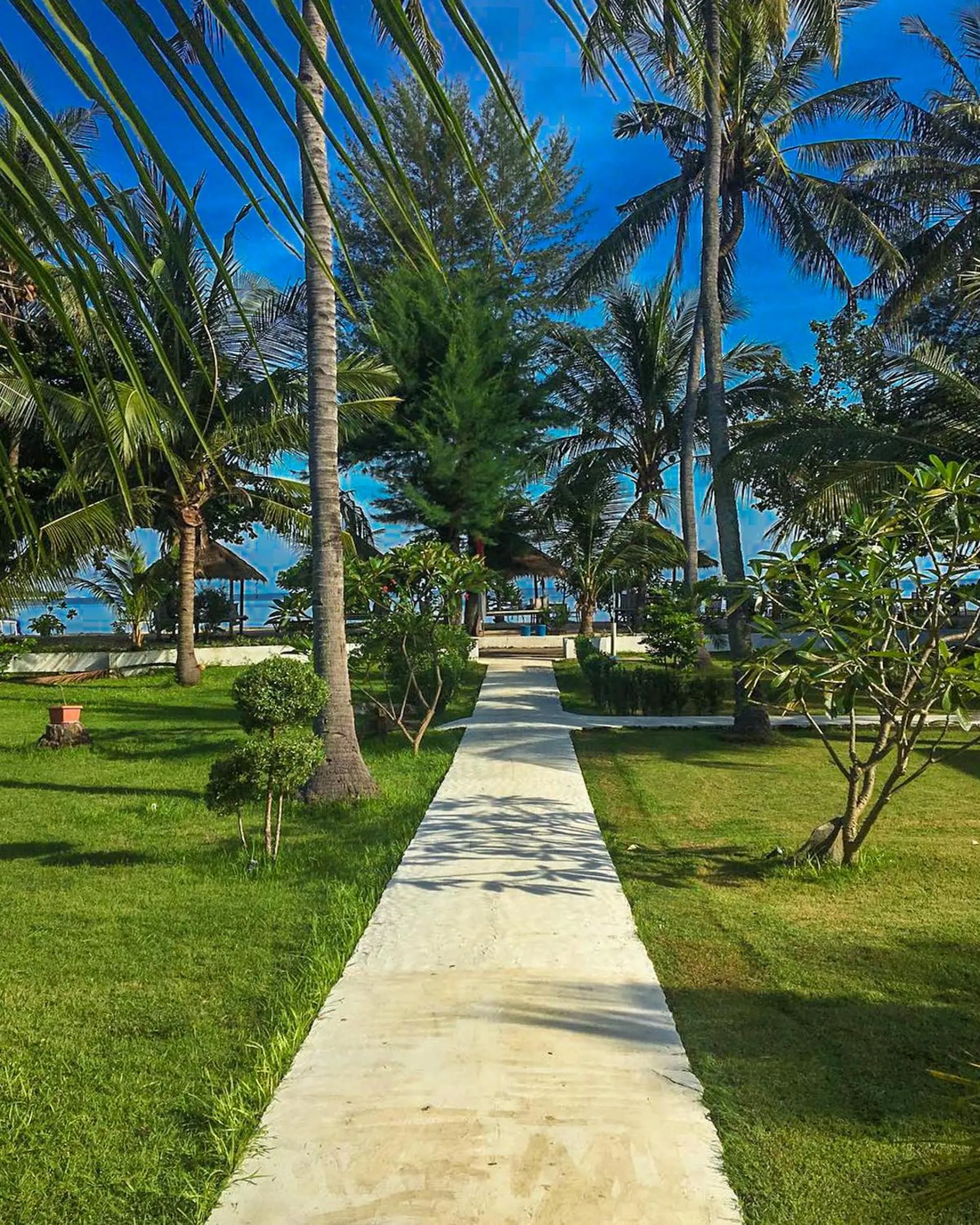 Garden in Salili Bungalow