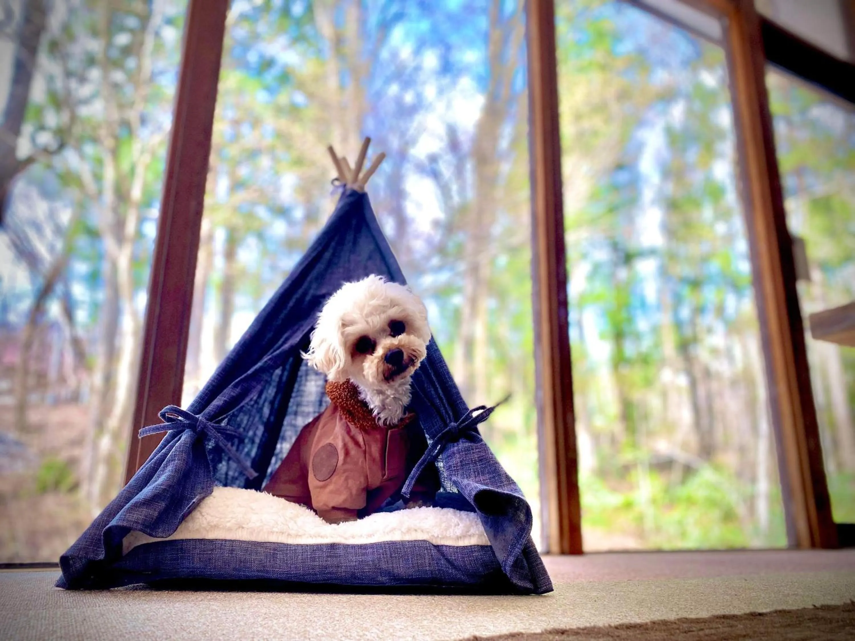 Animals in Kizuna Lodge & BBQ Centre