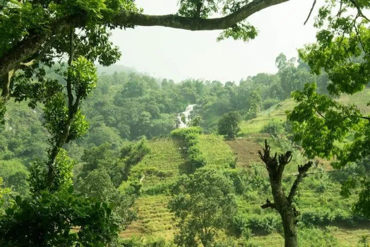 Mars Wonderland View