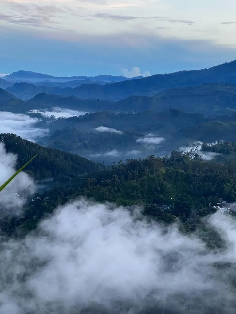 Mars Wonderland View