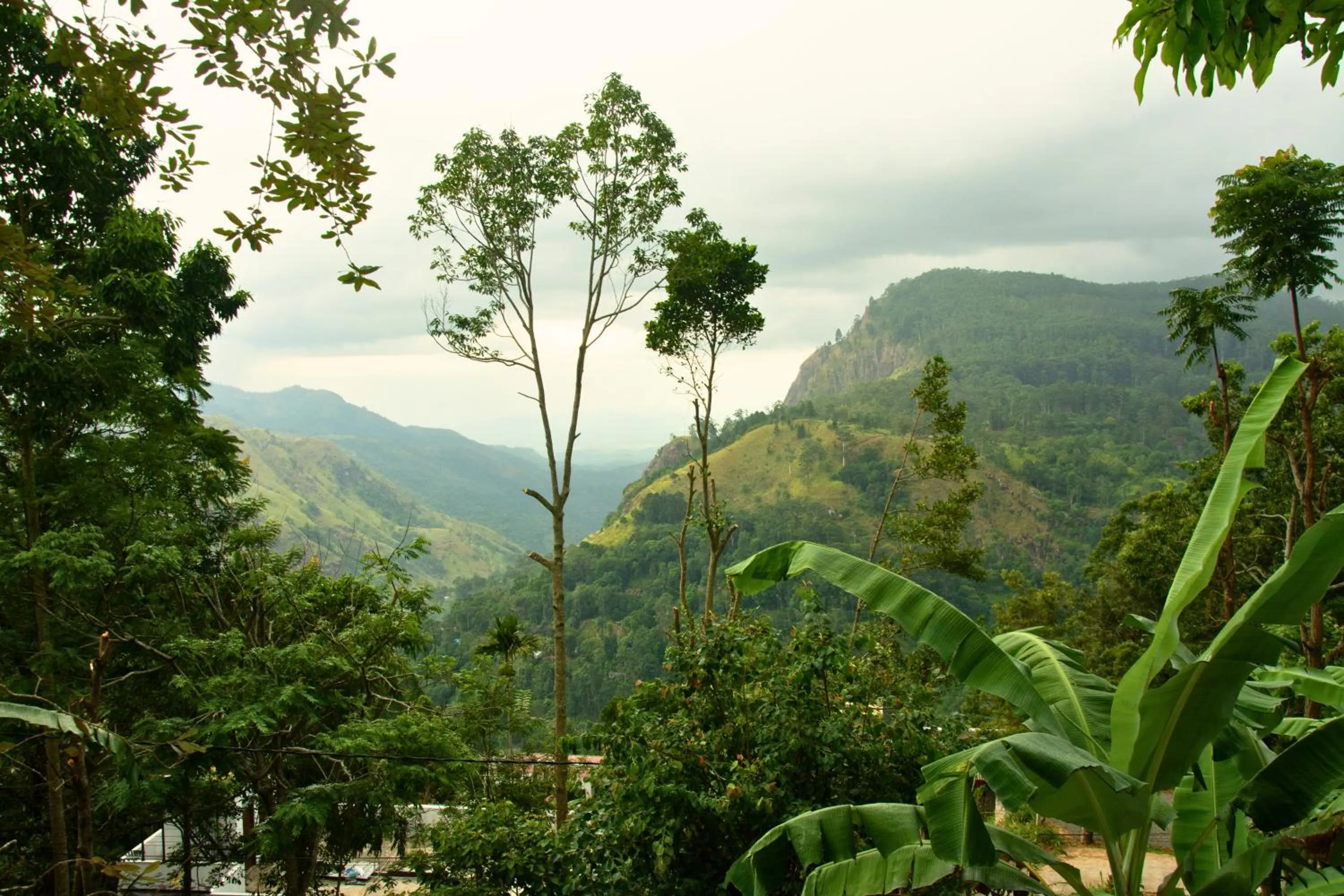 Nearby landmark in Bliss In Viya