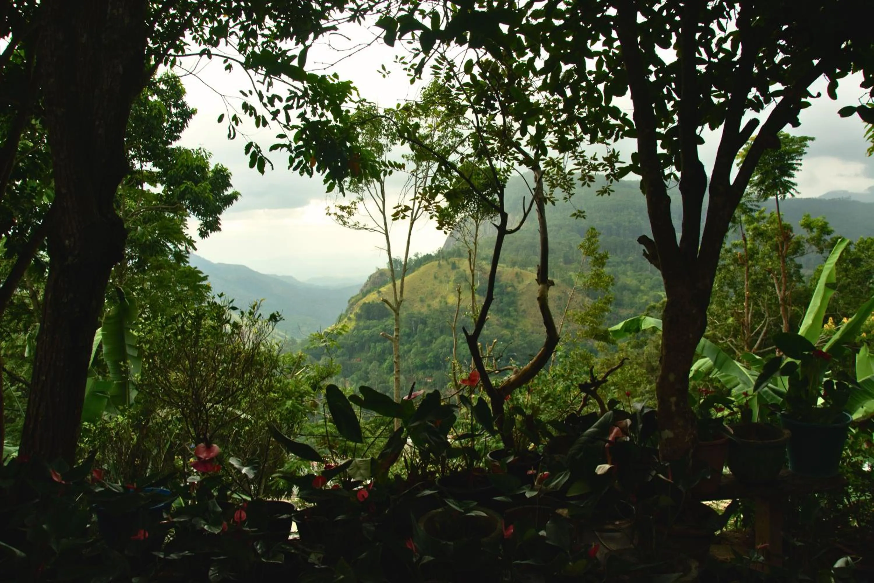 Day in Bliss In Viya