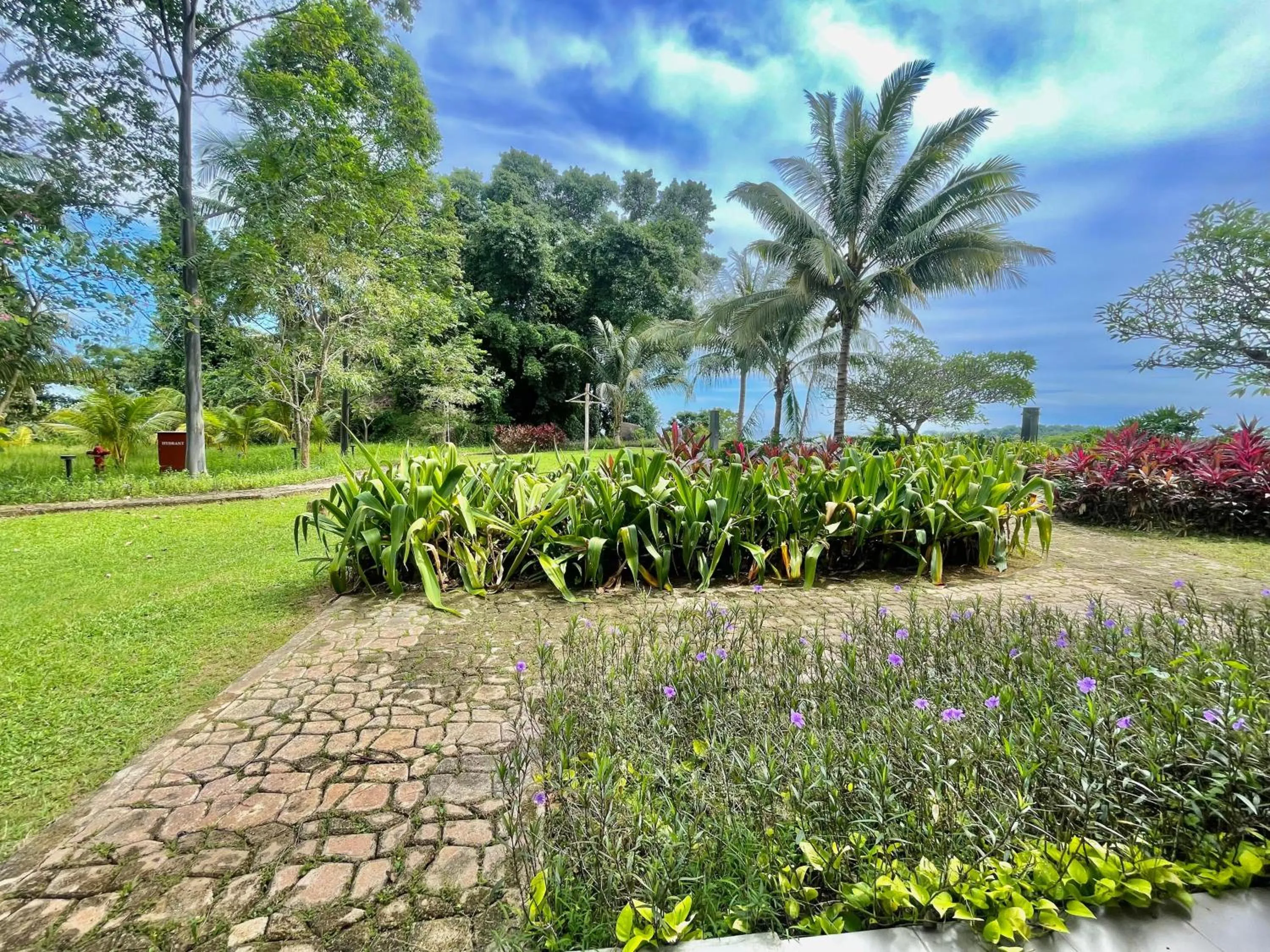 View (from property/room) in Swiss-Belresort Belitung