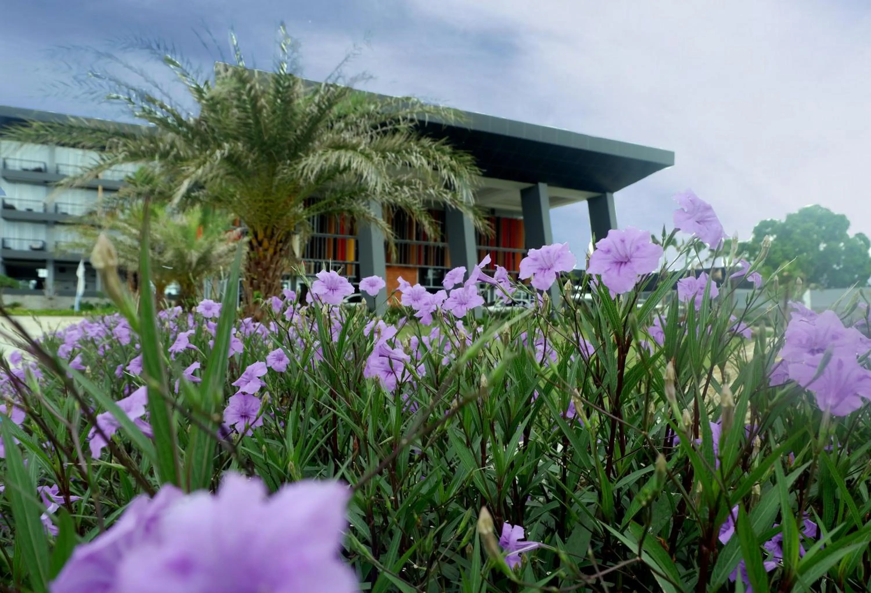 Property building in Swiss-Belresort Belitung