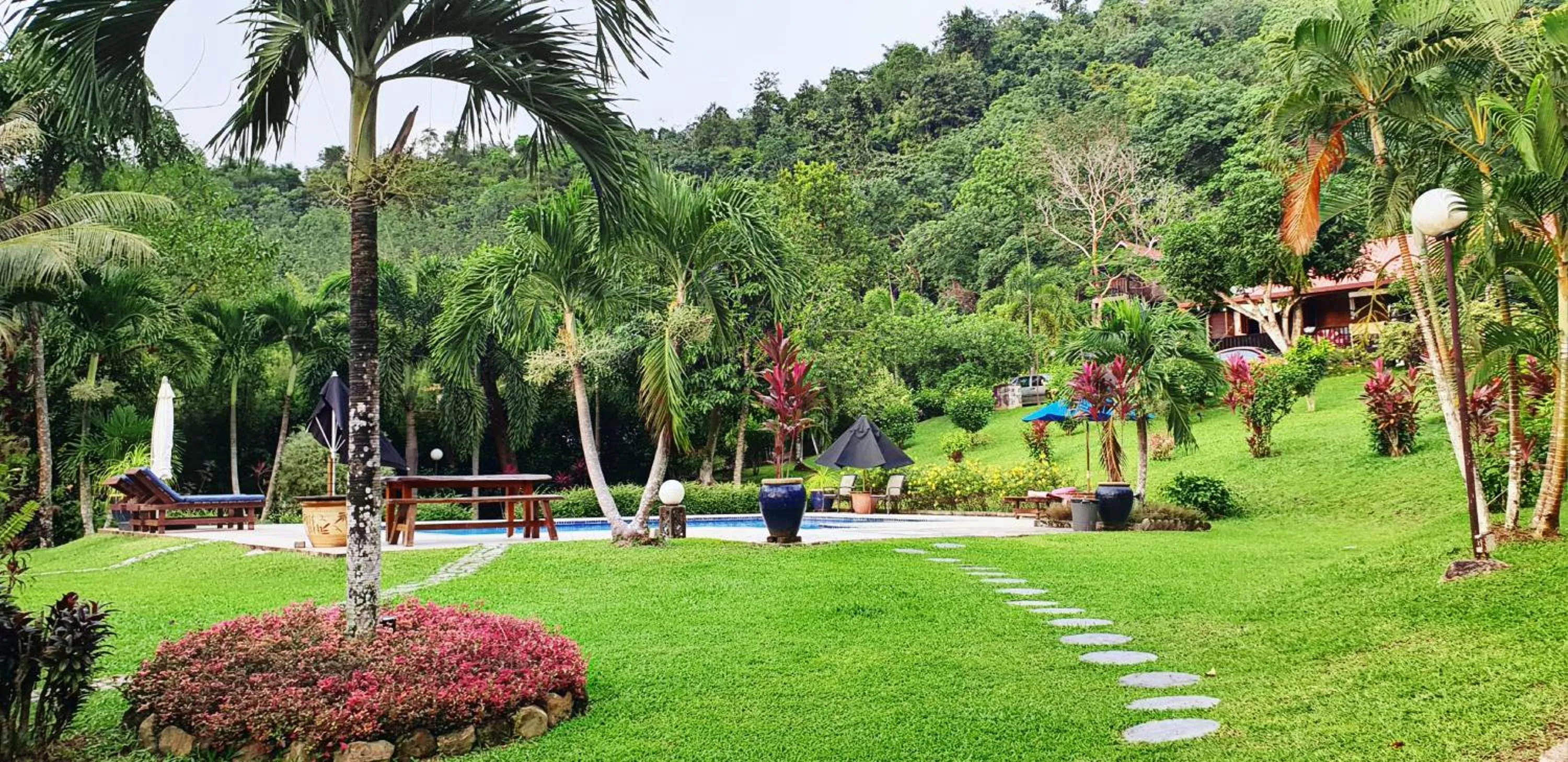 Pool view in Fox Hill
